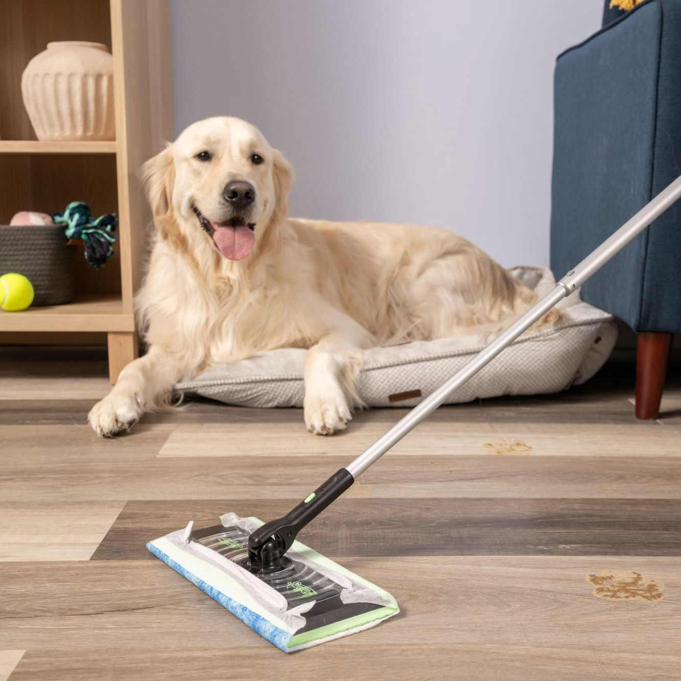 Enlarge Product Preview 5 Successfully Enriched by automation Job.