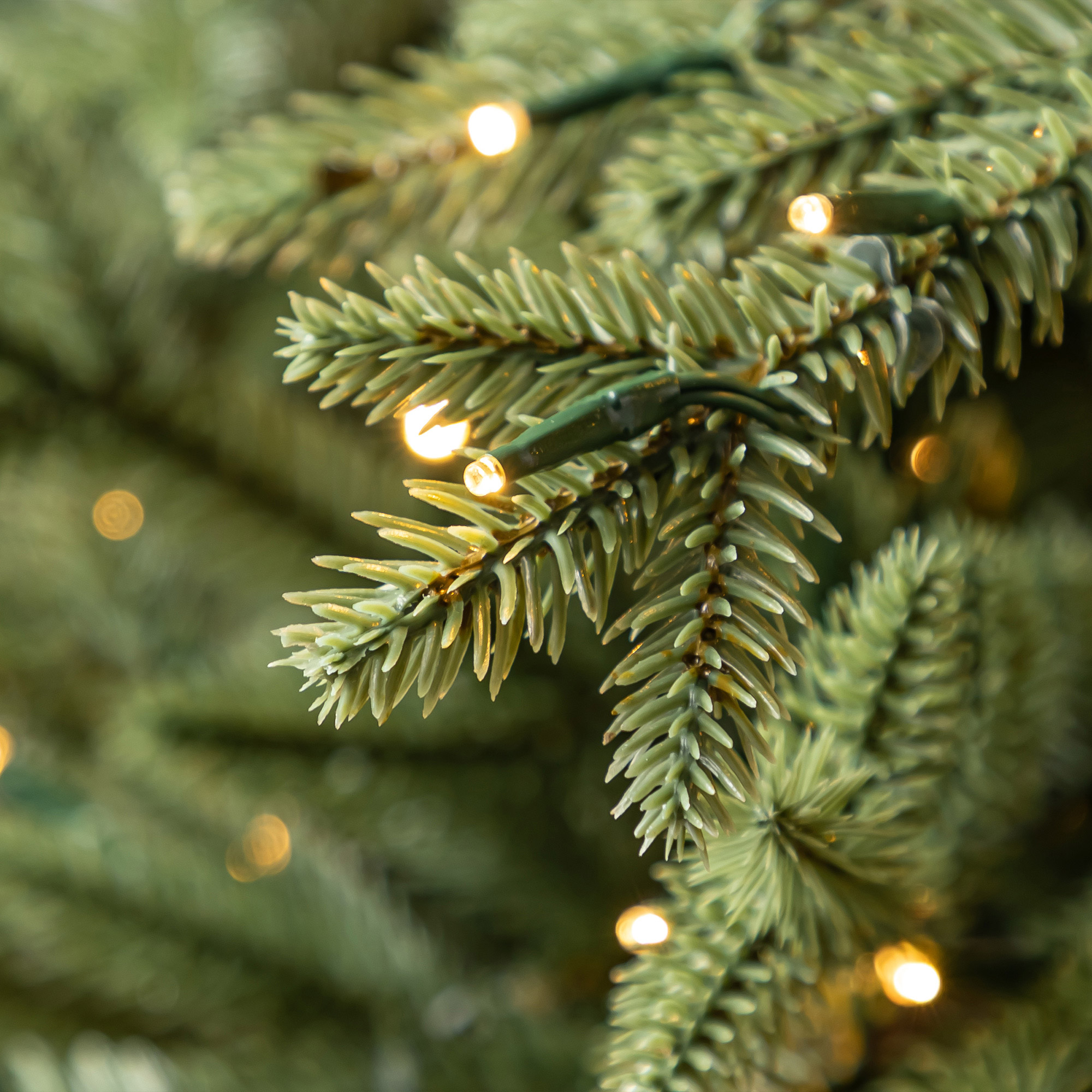 Enlarge Product Preview 7 Successfully Enriched by automation Job.