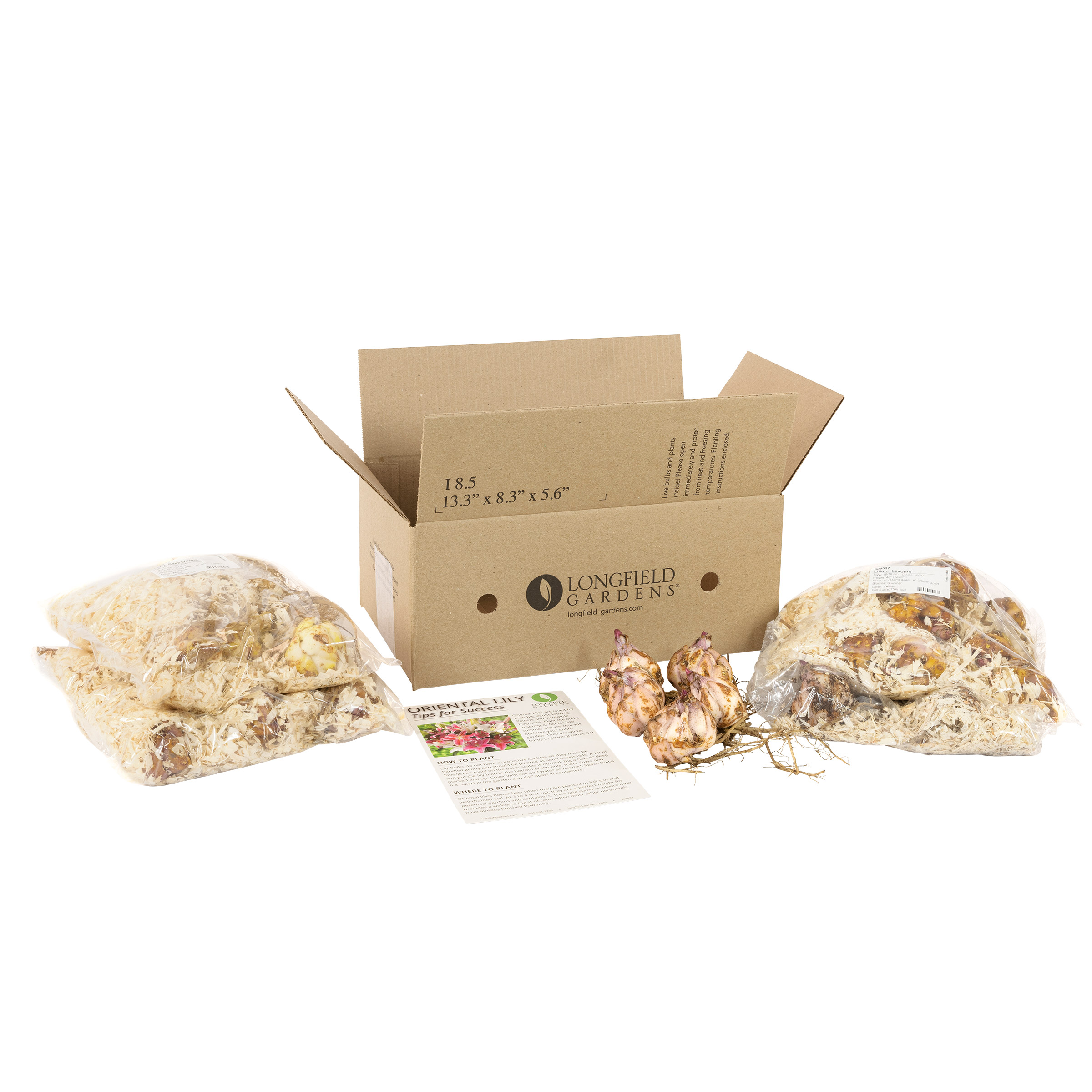 Enlarge Product Preview 15