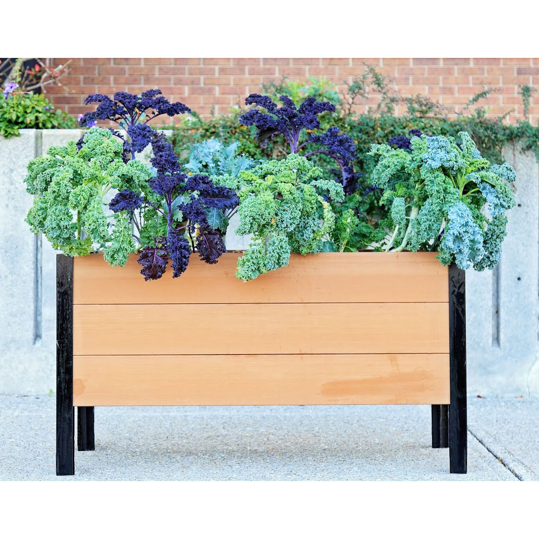 Vita Greens Urban Garden Bed | Costco
