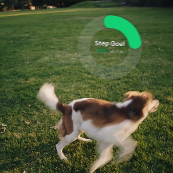 Play Product Video 1