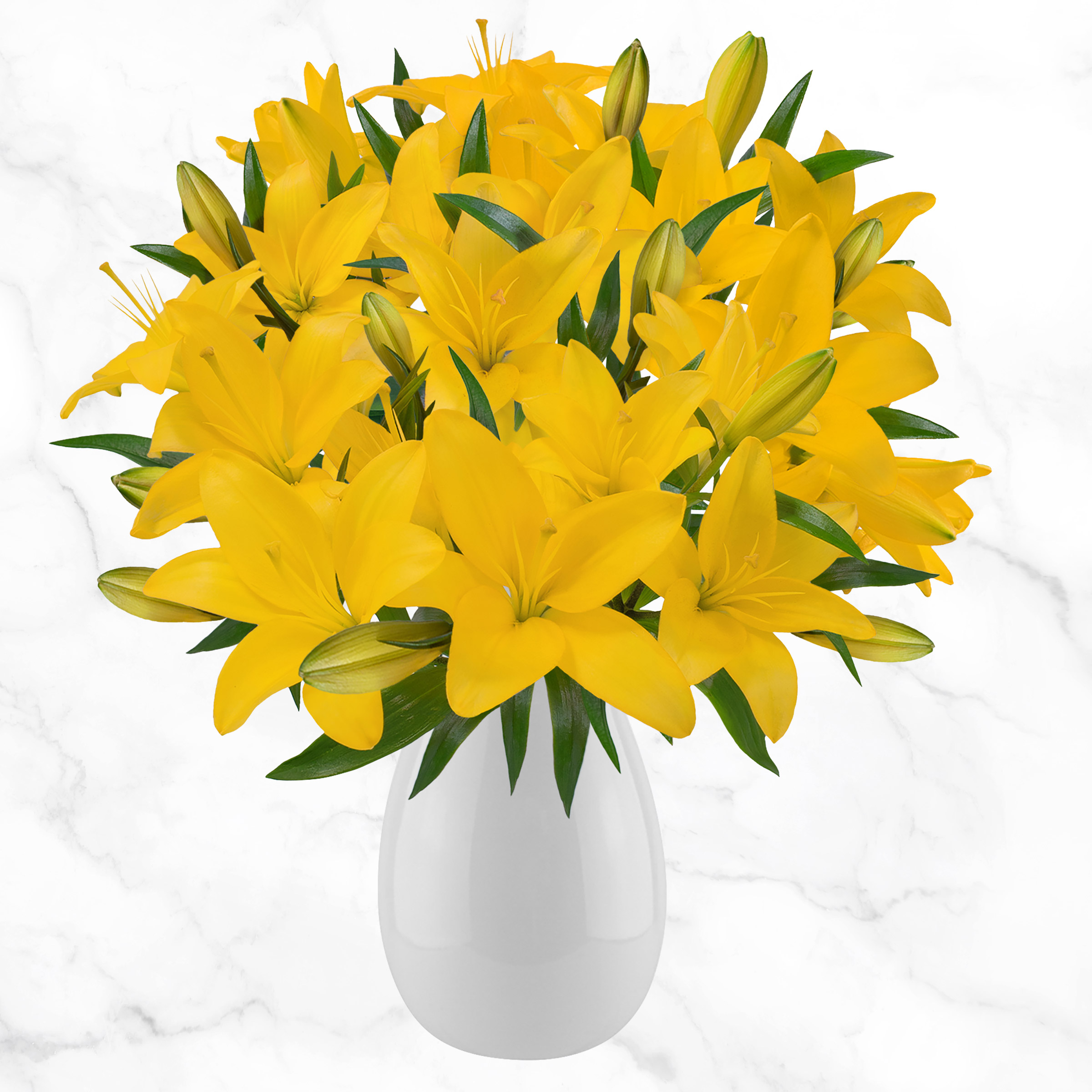 40-stem Asiatic Lilies