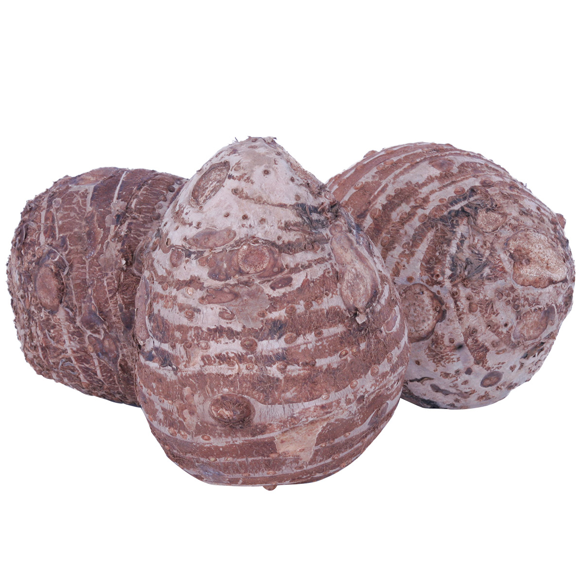 Enlarge Product Preview 6