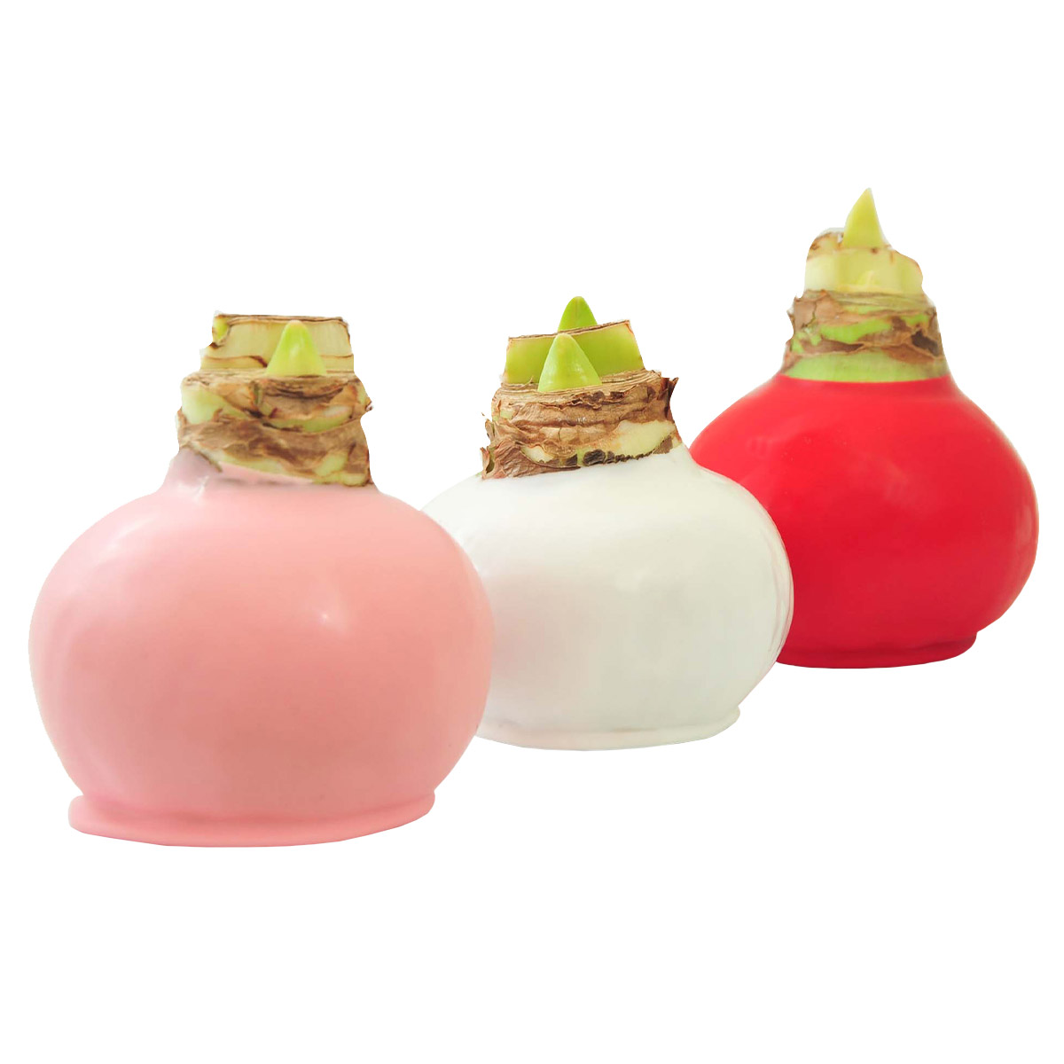 Enlarge Product Preview 3 Successfully Enriched by automation Job.