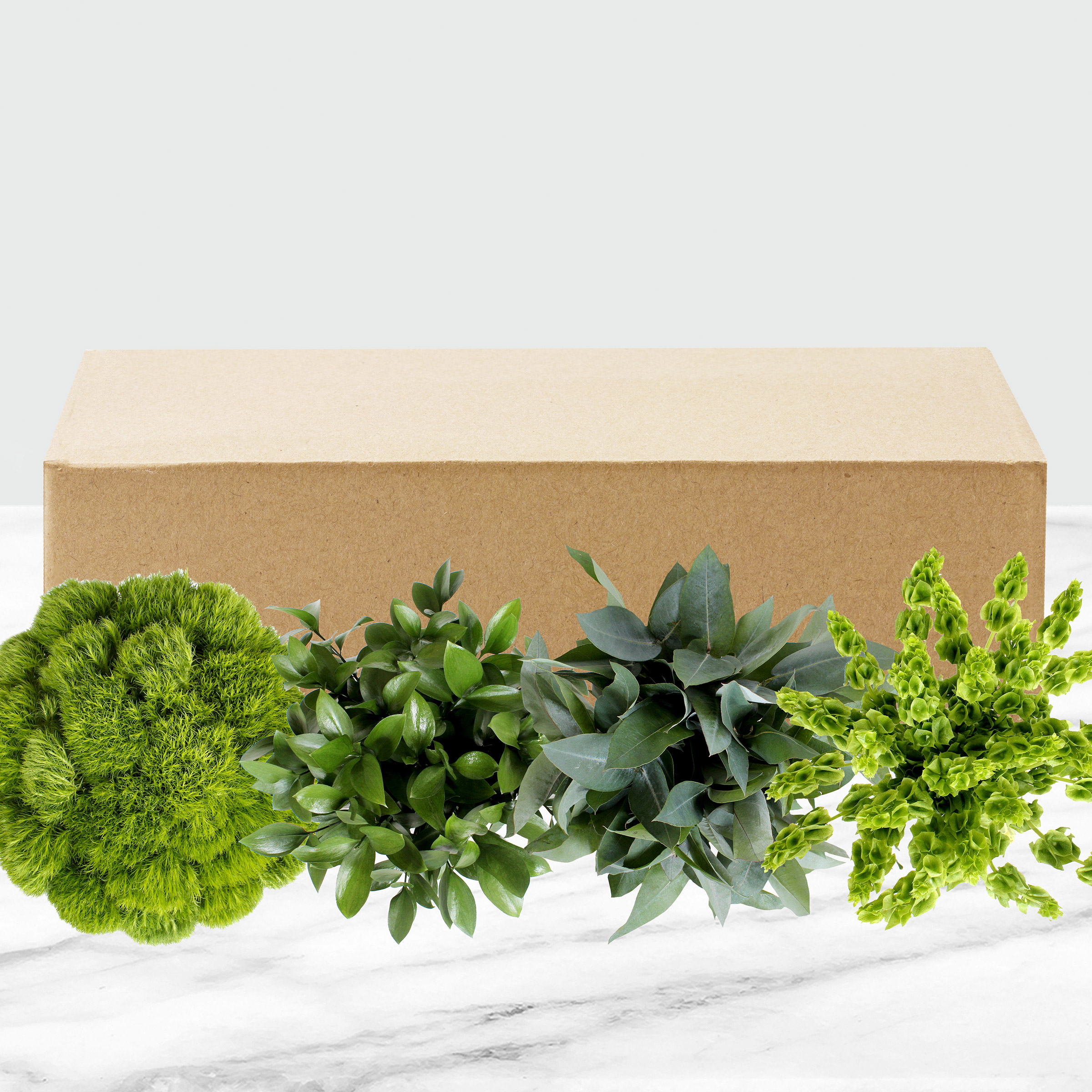 Enlarge Product Preview 6