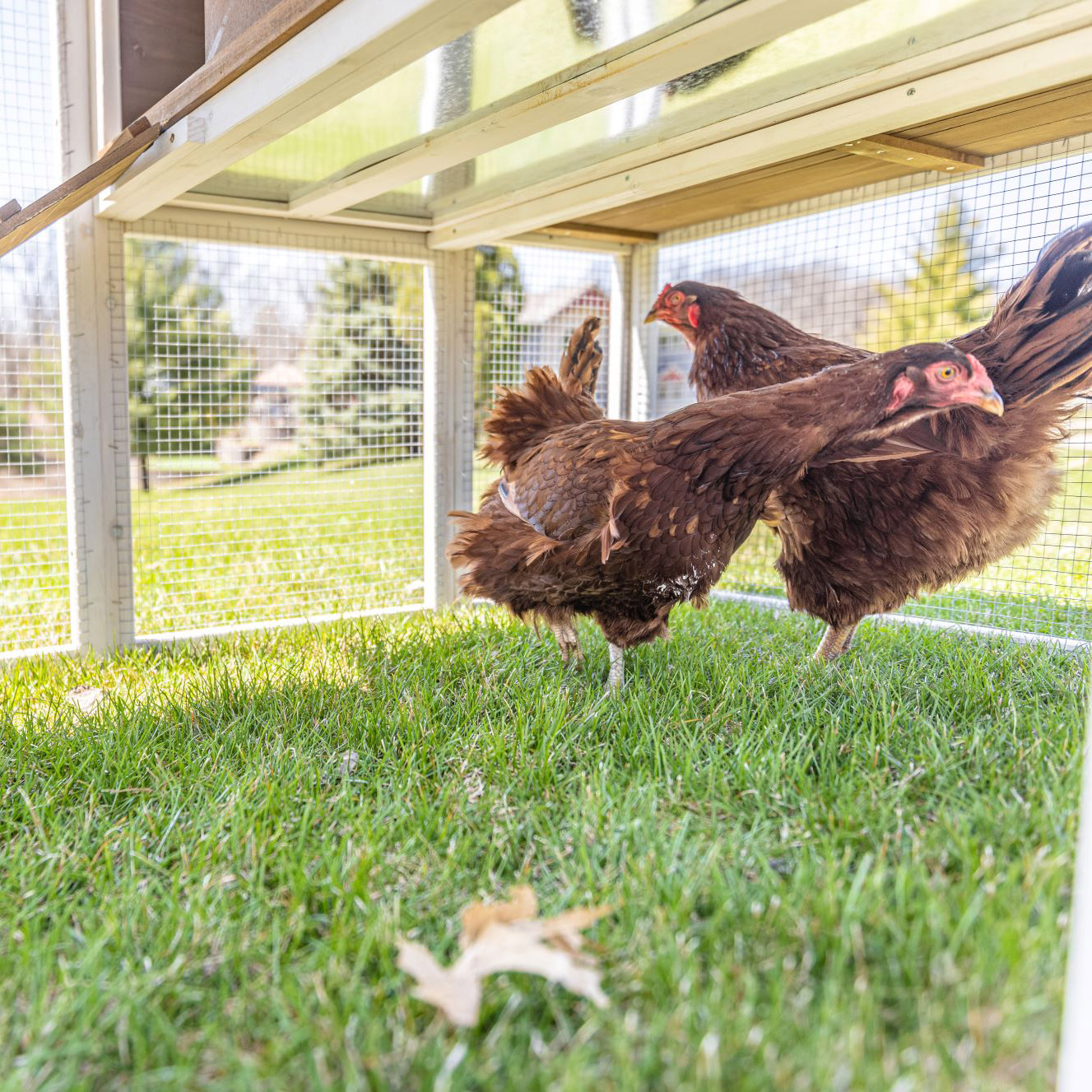 Enlarge Product Preview 8 Successfully Enriched by automation Job.