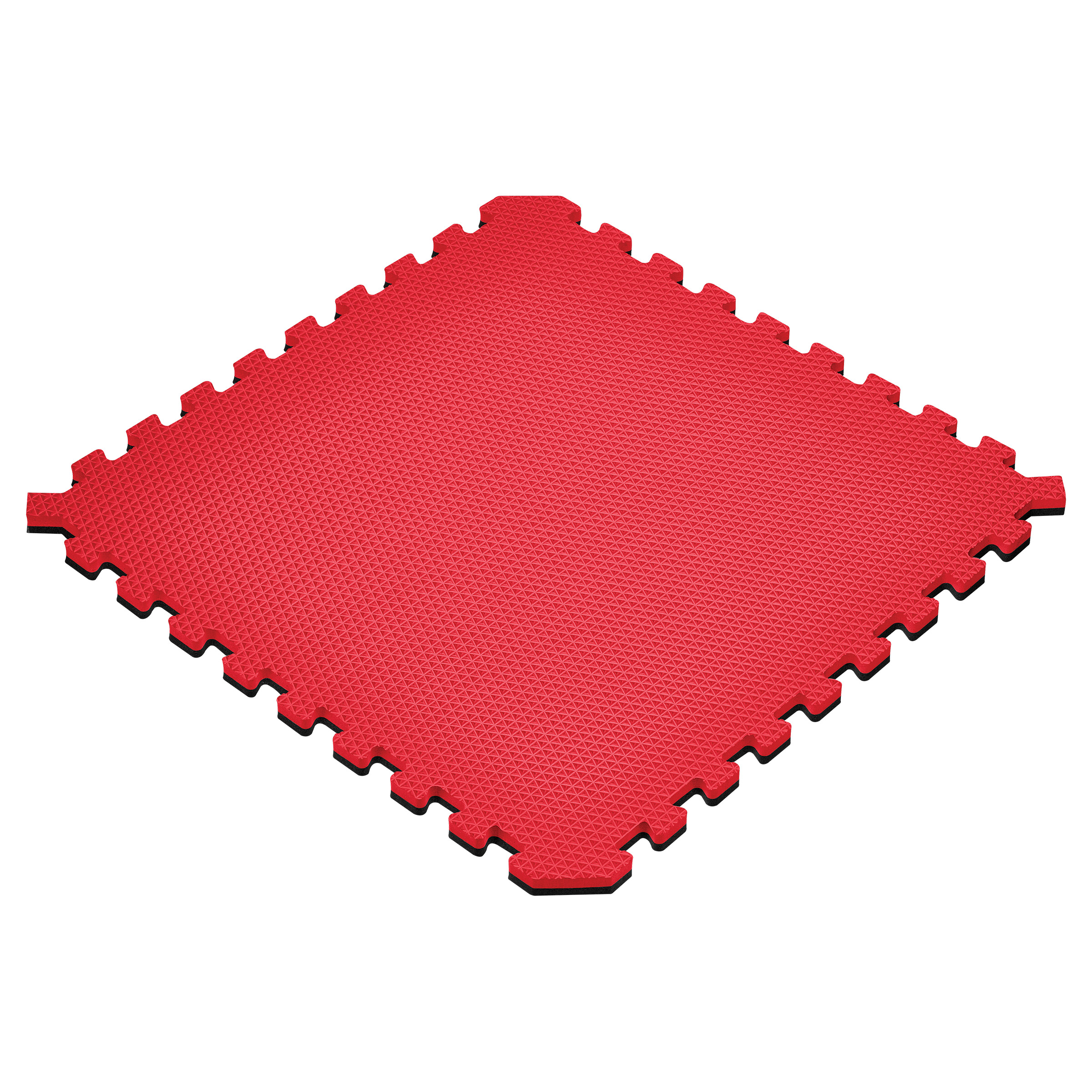 Norsk Reversible Foam Flooring  48 sq ft.  24 in. x 24 in. Foam Mats