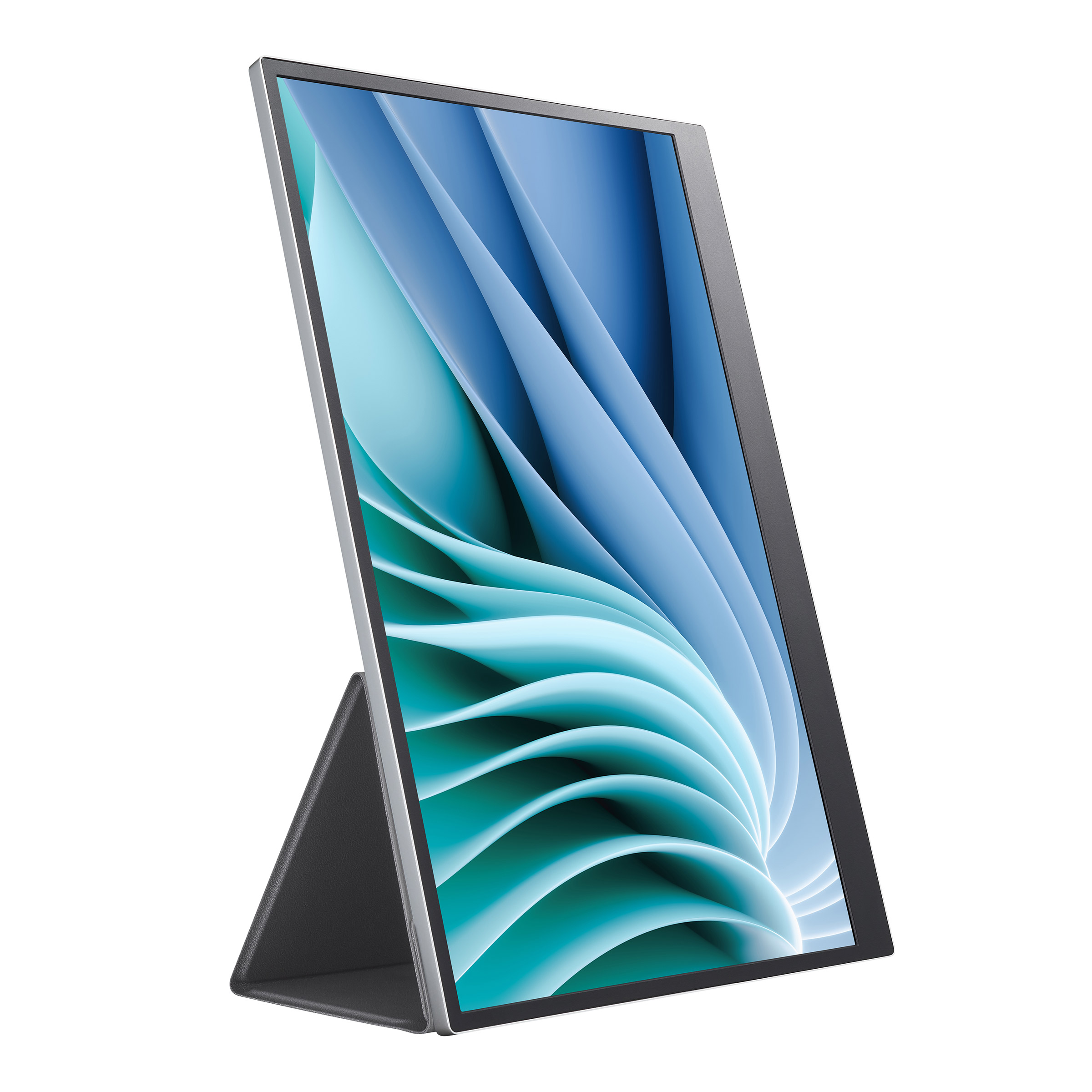 LG gram +view 16-in. Portable WQXGA Monitor (2560 x 1600) | Costco