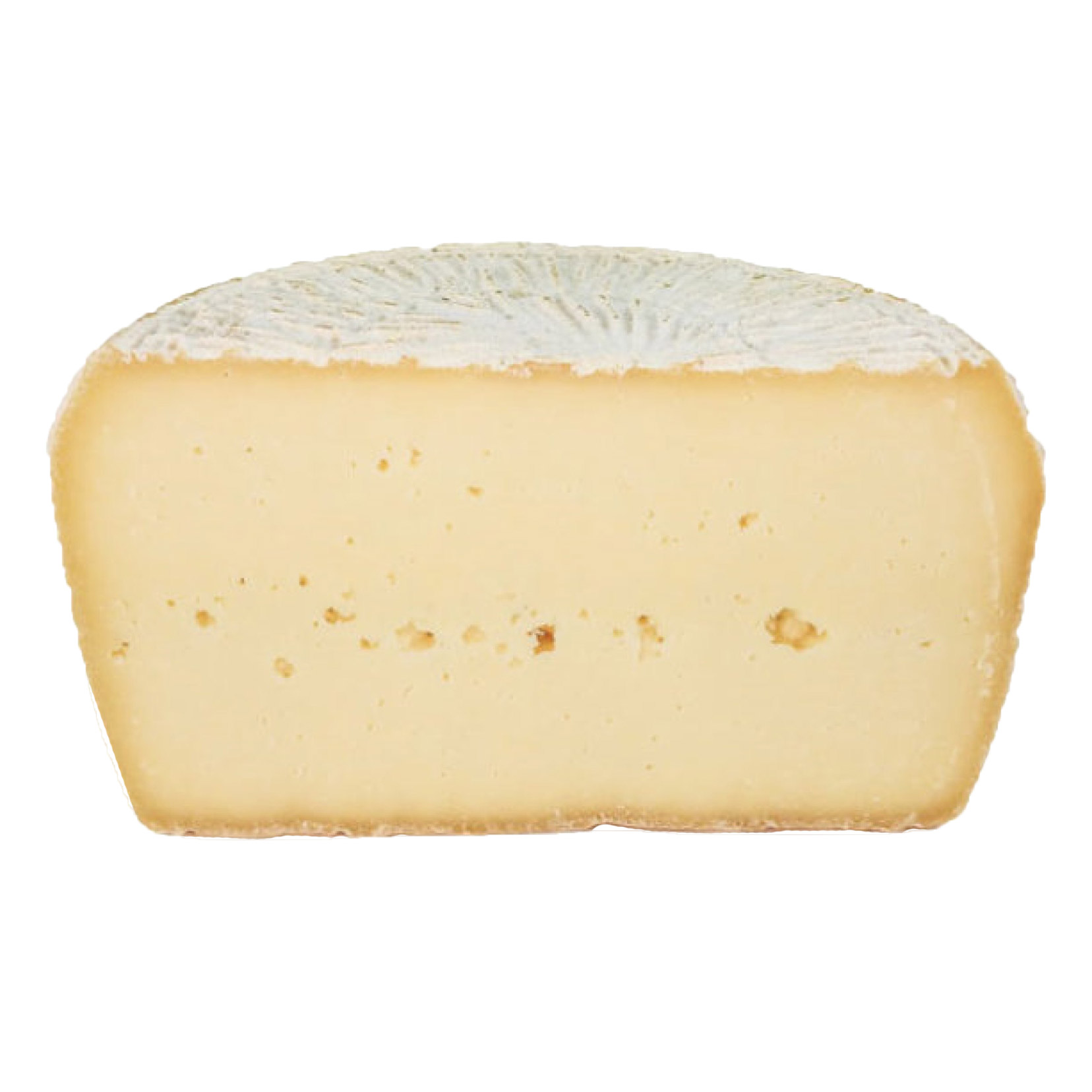 Guffanti Formaggi Pecorino Coratino 250 g (8.8 oz) x 4 pack