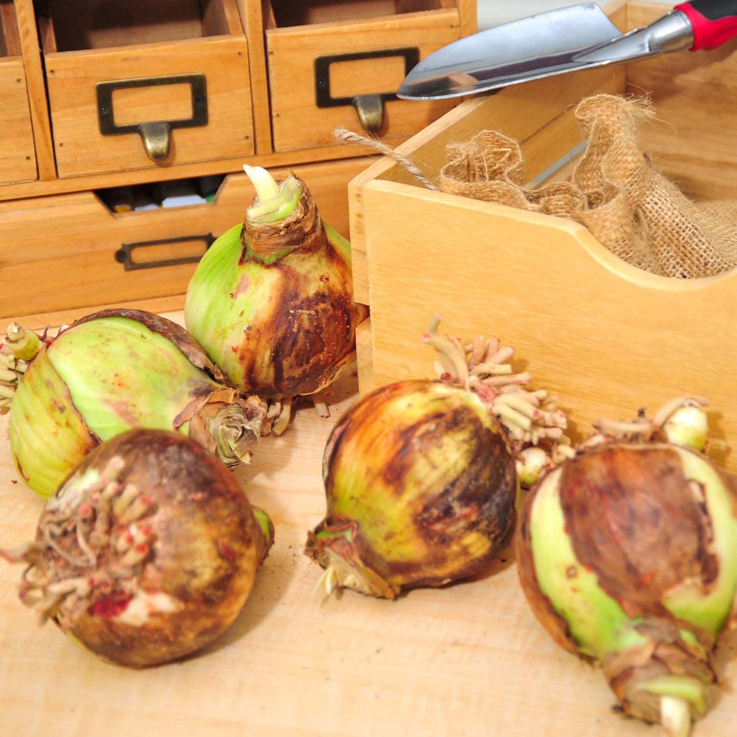 Enlarge Product Preview 6