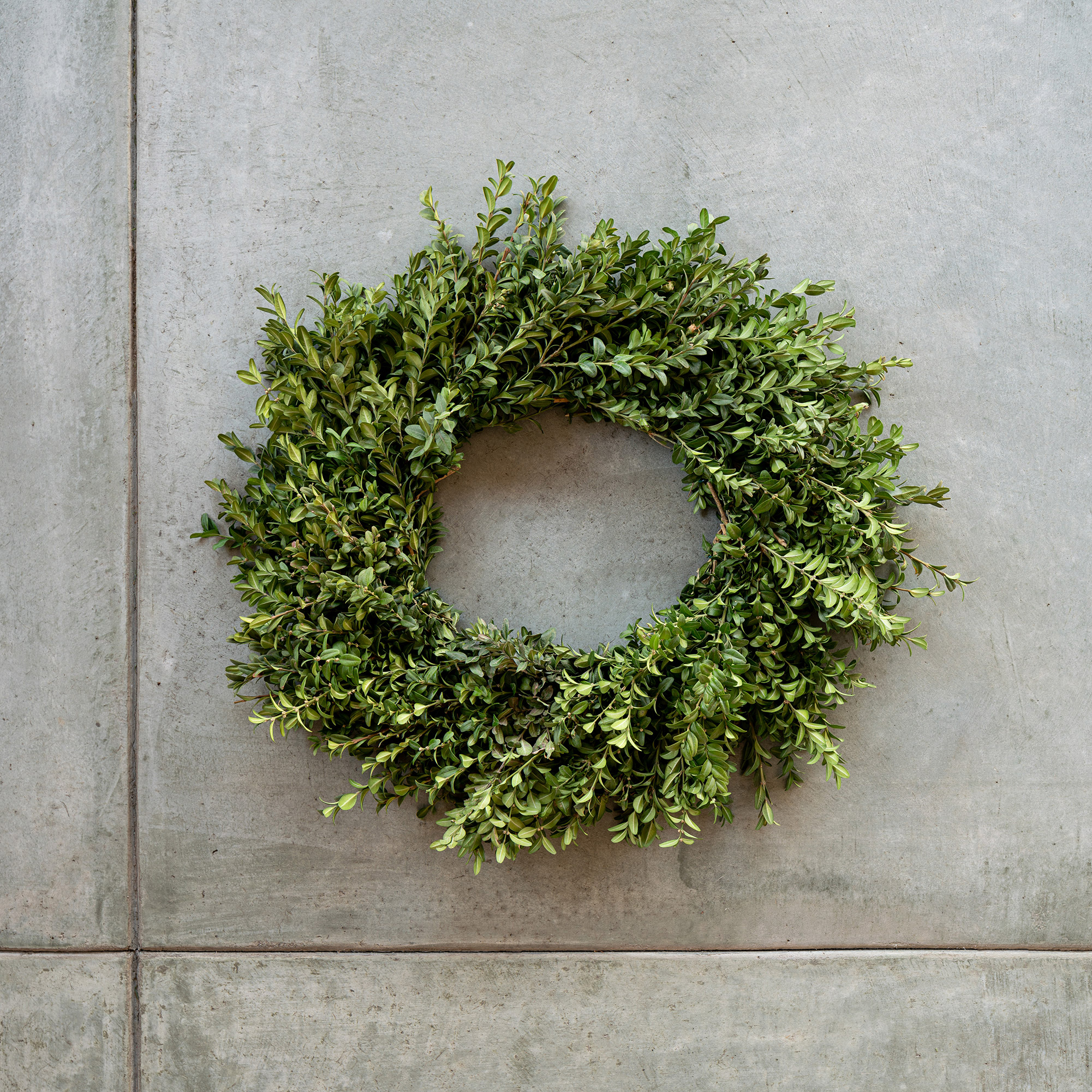 Enlarge Product Preview 2