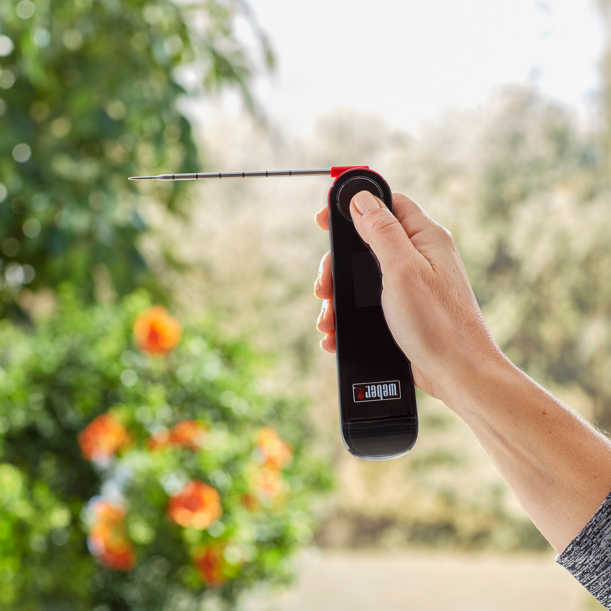 Enlarge Product Preview 6