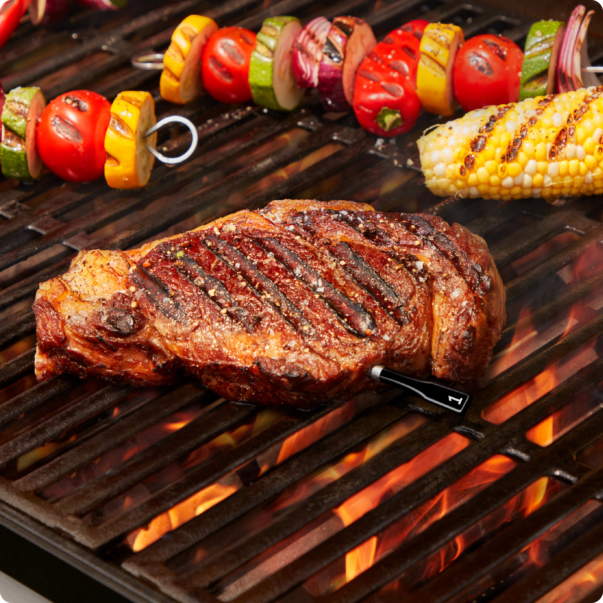 Enlarge Product Preview 2 Successfully Enriched by automation Job.