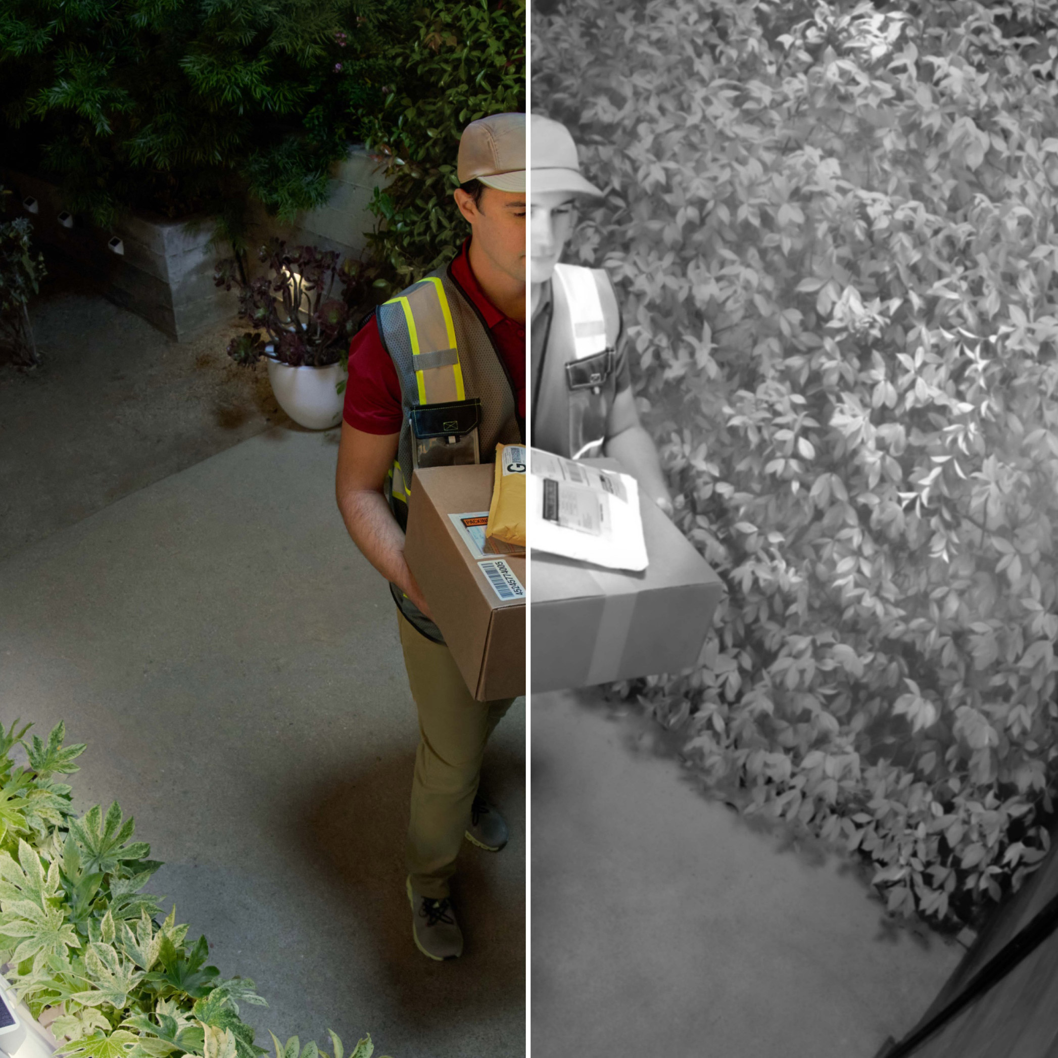 Enlarge Product Preview 8 Successfully Enriched by automation Job.