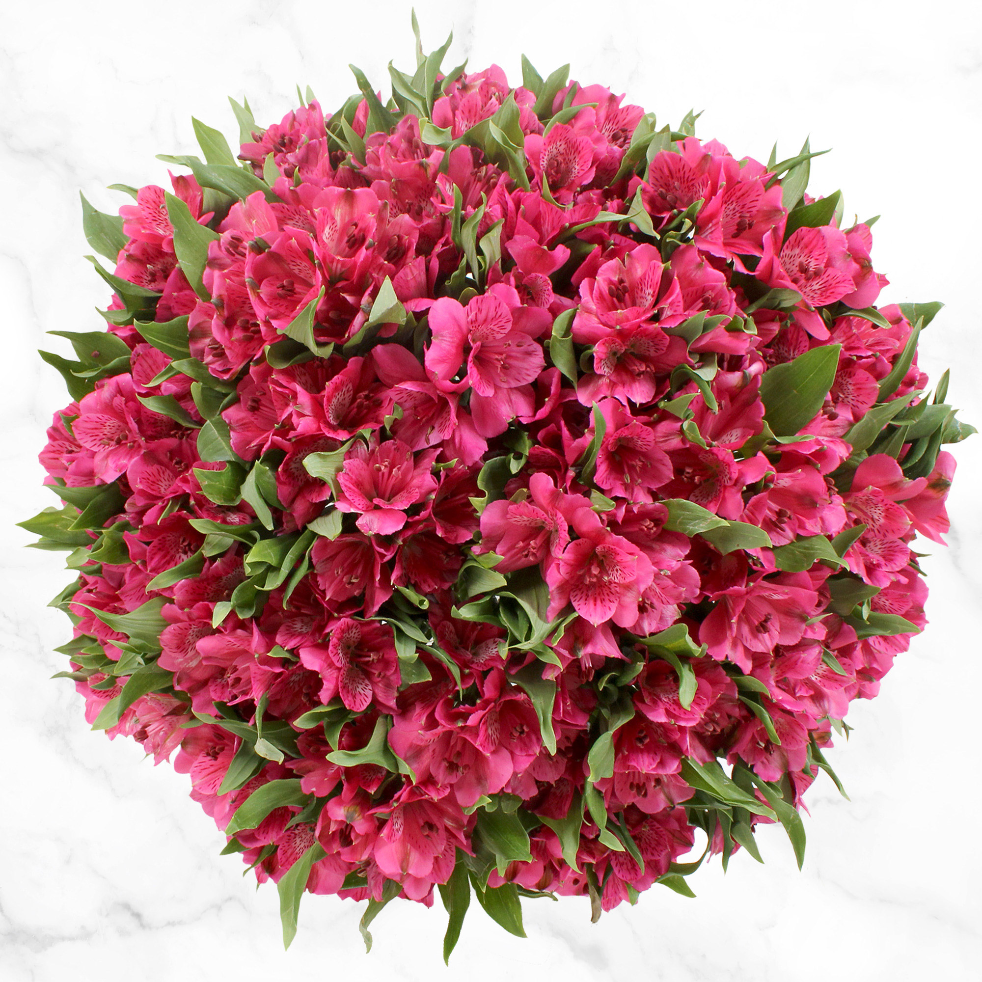 80-stem Alstroemeria