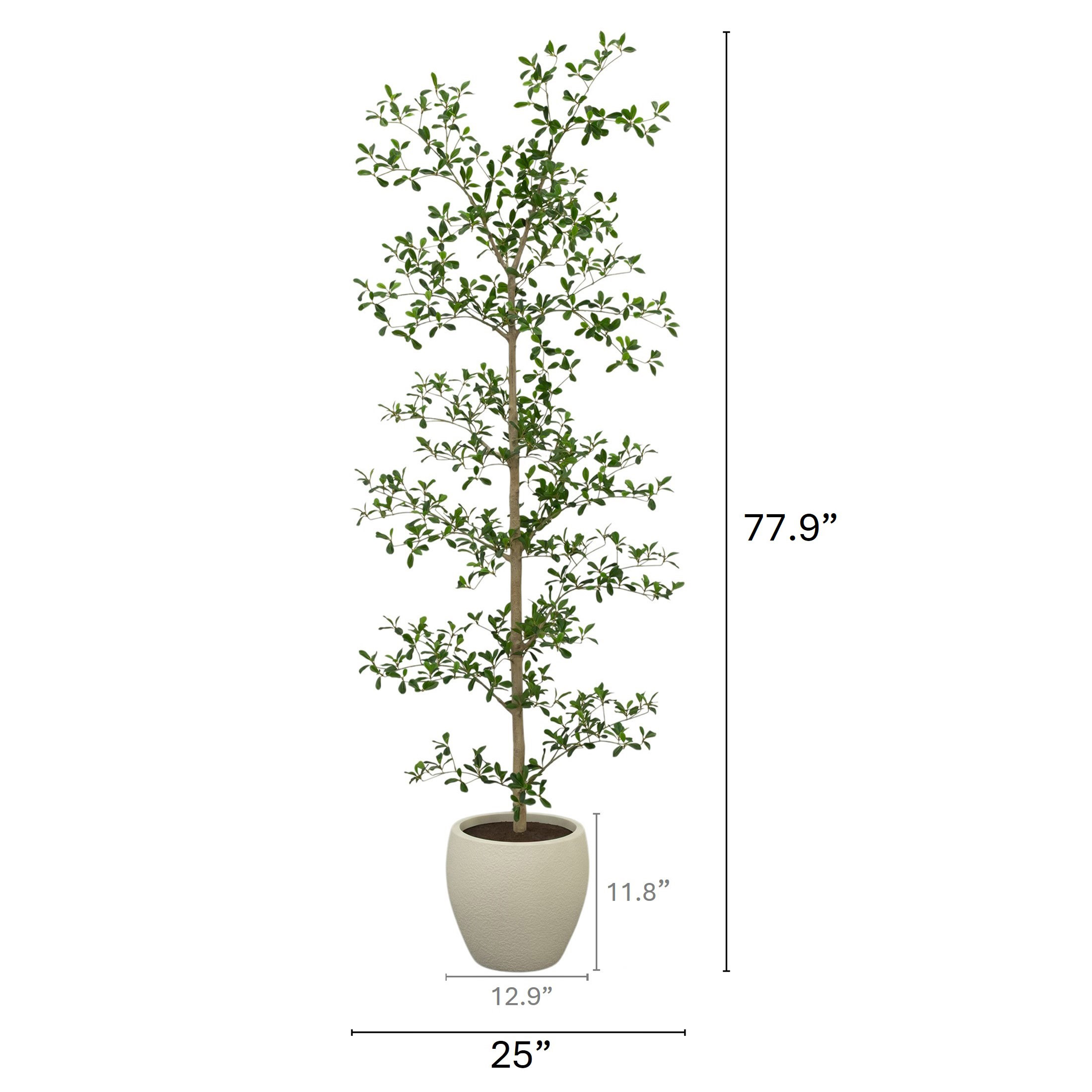 Faux 6.5' Black Olive Tree | Costco