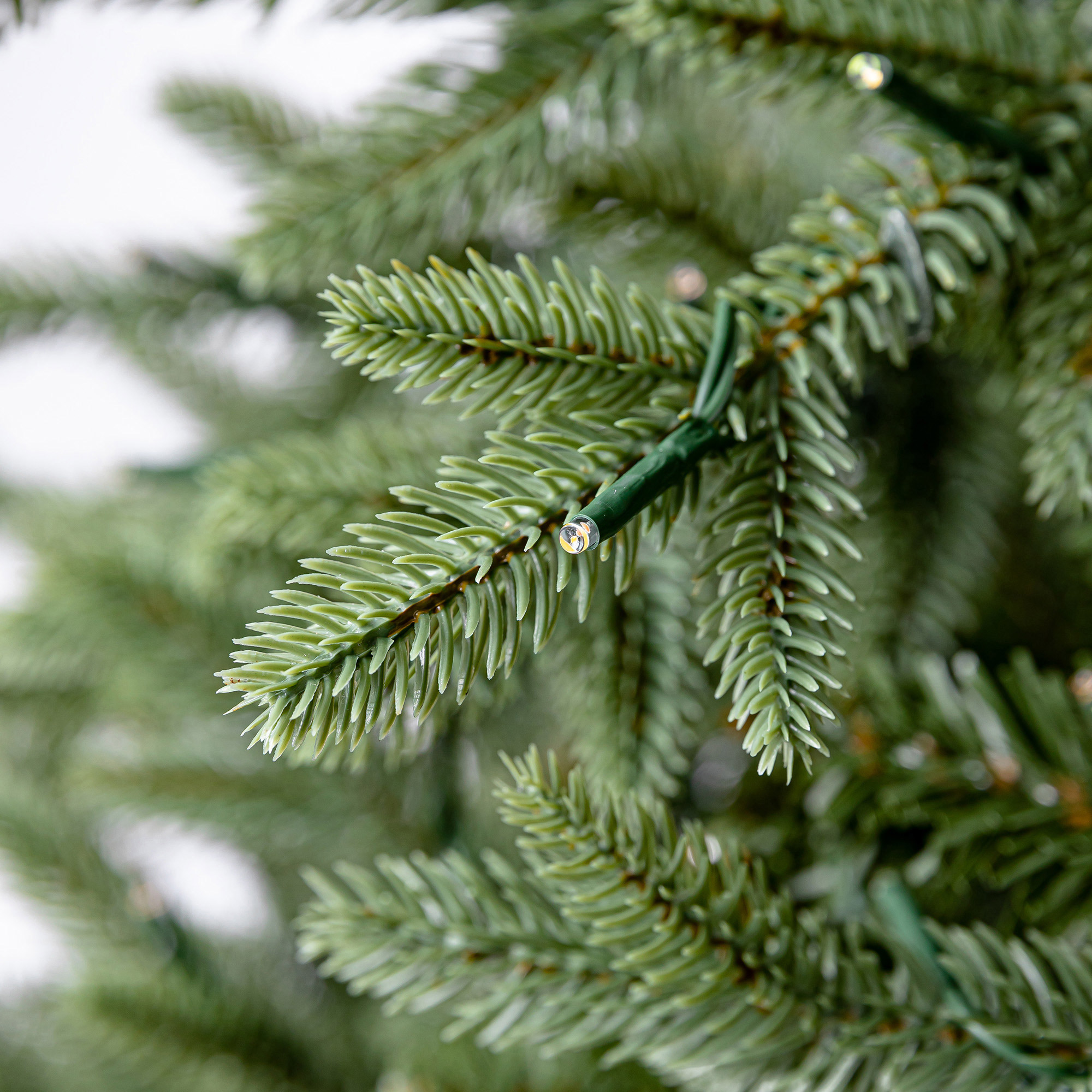 Enlarge Product Preview 10 Successfully Enriched by automation Job.