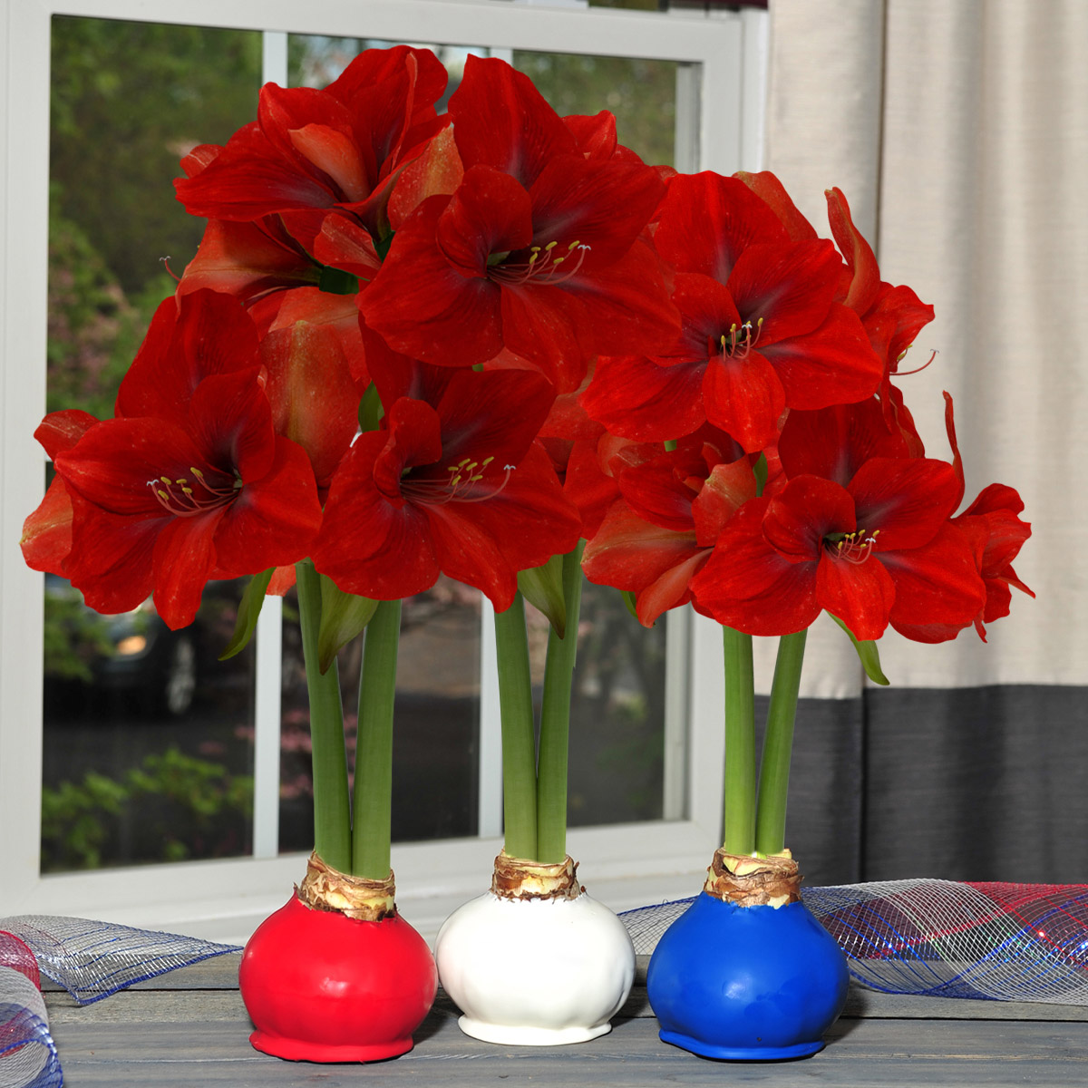 Enlarge Product Preview 2