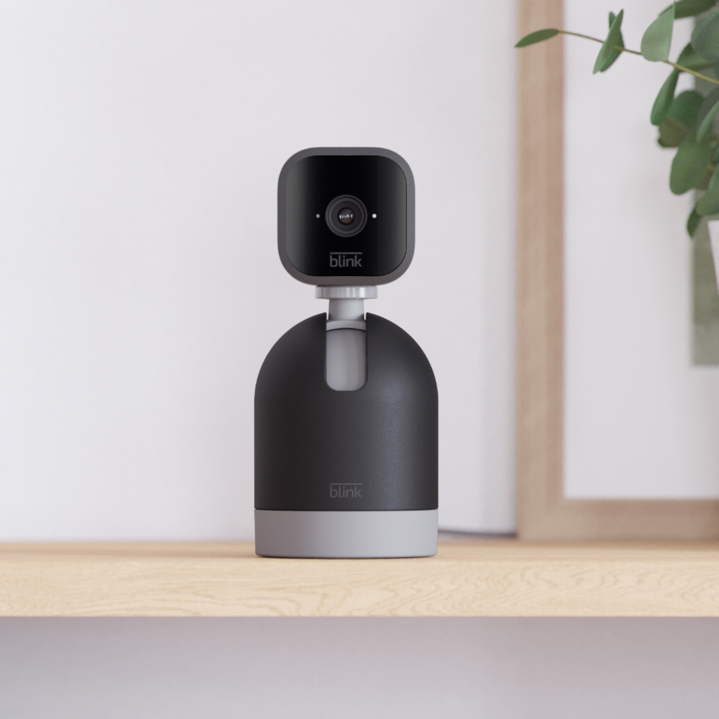 Enlarge Product Preview 4 Successfully Enriched by automation Job.