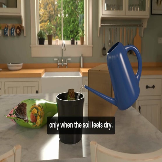 Play Product Video 1