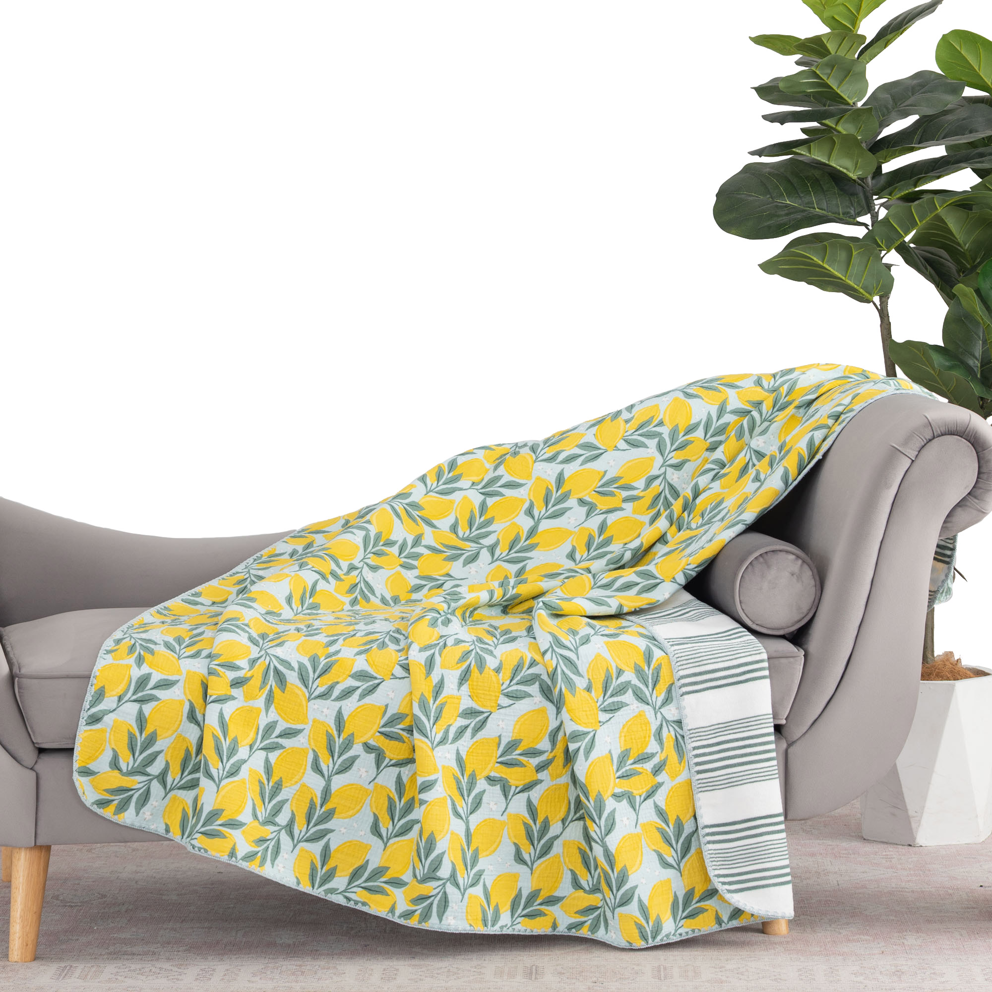 Artist Collection Cotton Gauze Throw | Costco
