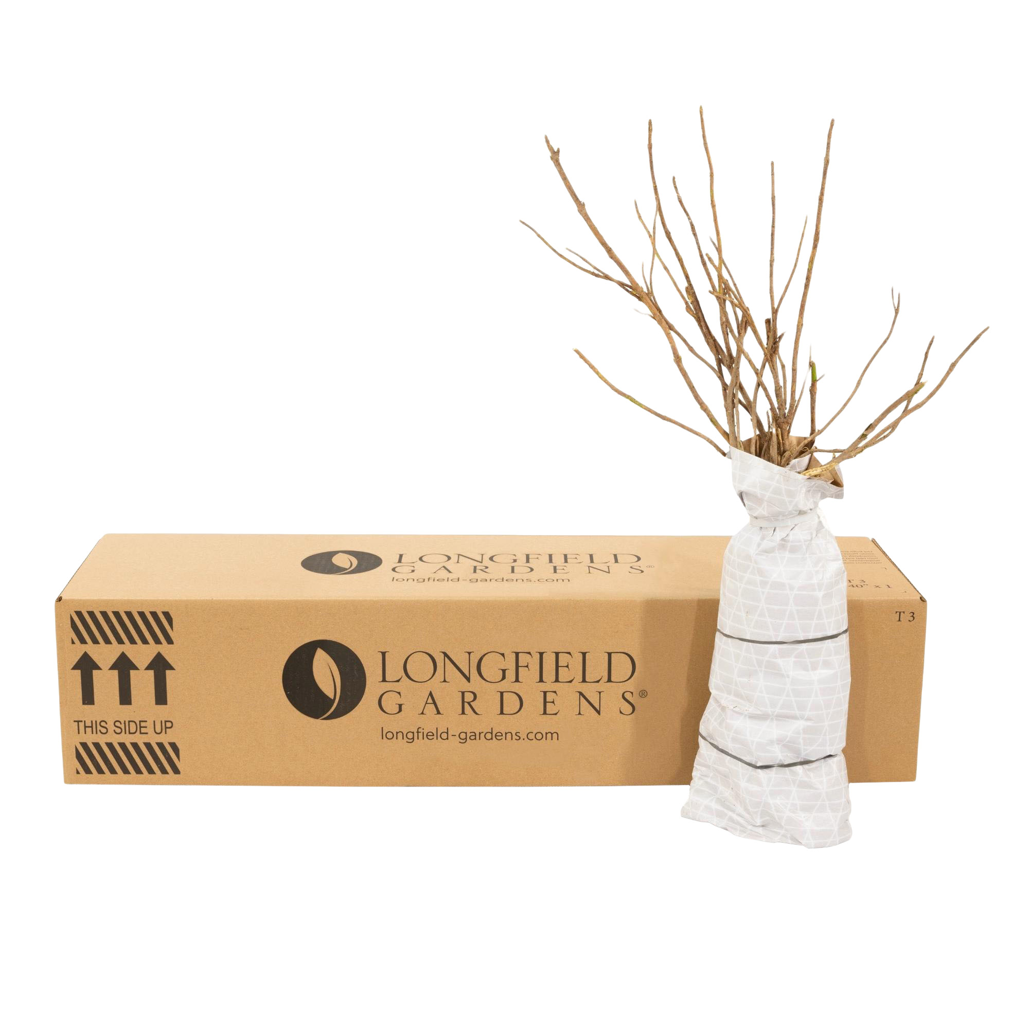 Enlarge Product Preview 15 Successfully Enriched by automation Job.