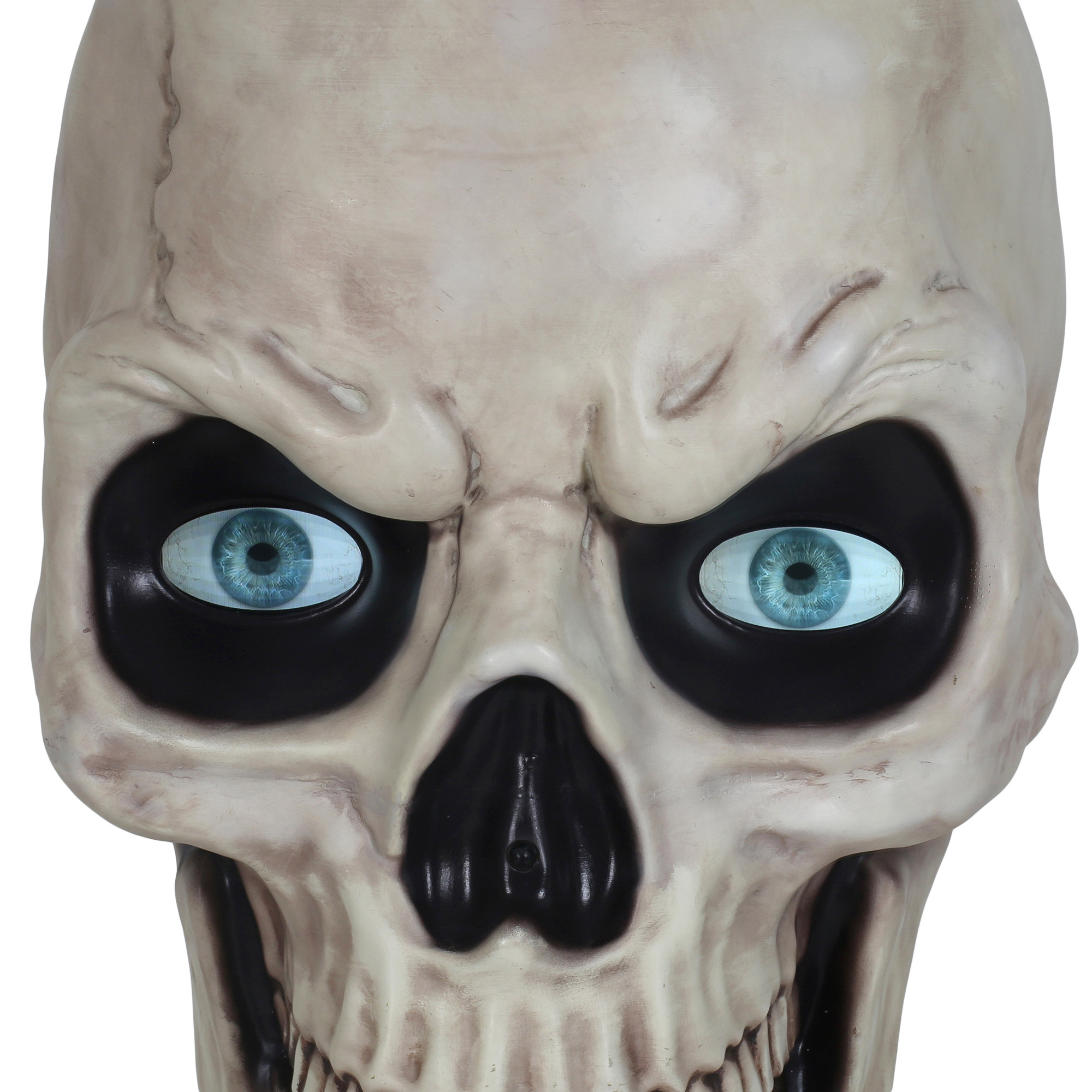 Enlarge Product Preview 8 Successfully Enriched by automation Job.