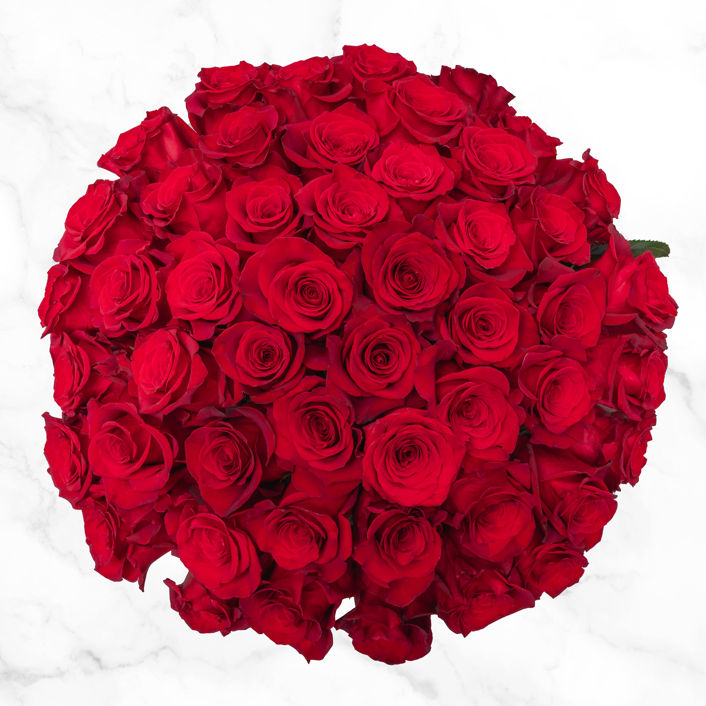 Pre-order Valentine's Day Red Roses Fresh Cut Floral  50-stems