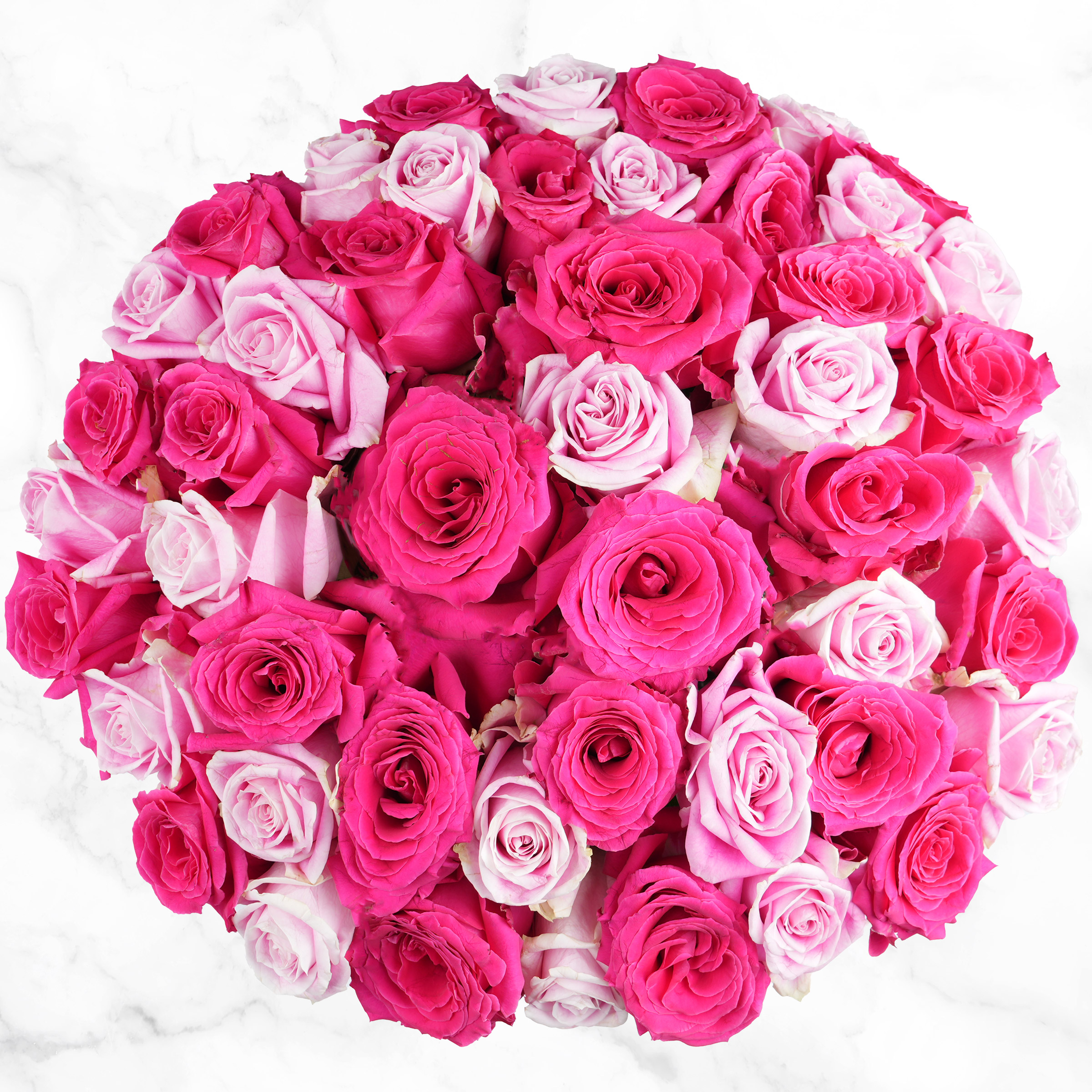 Pre-order Valentines Day Hot Pink & Light Pink Roses  50-stems