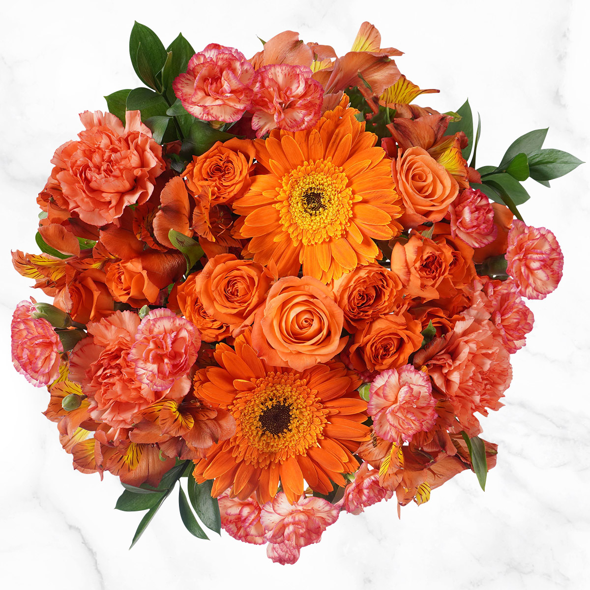 Enlarge Product Preview 3