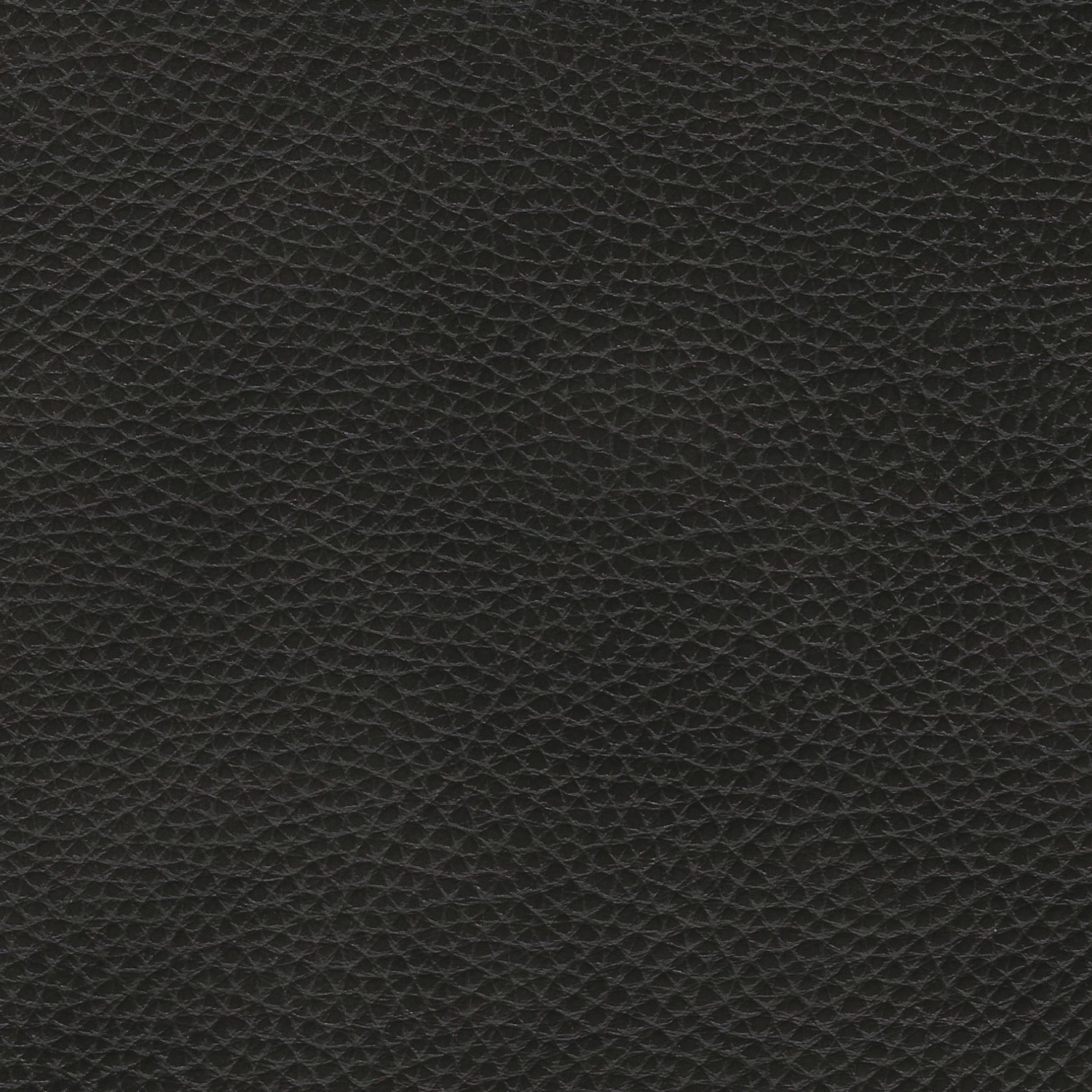 Enlarge Product Preview 6