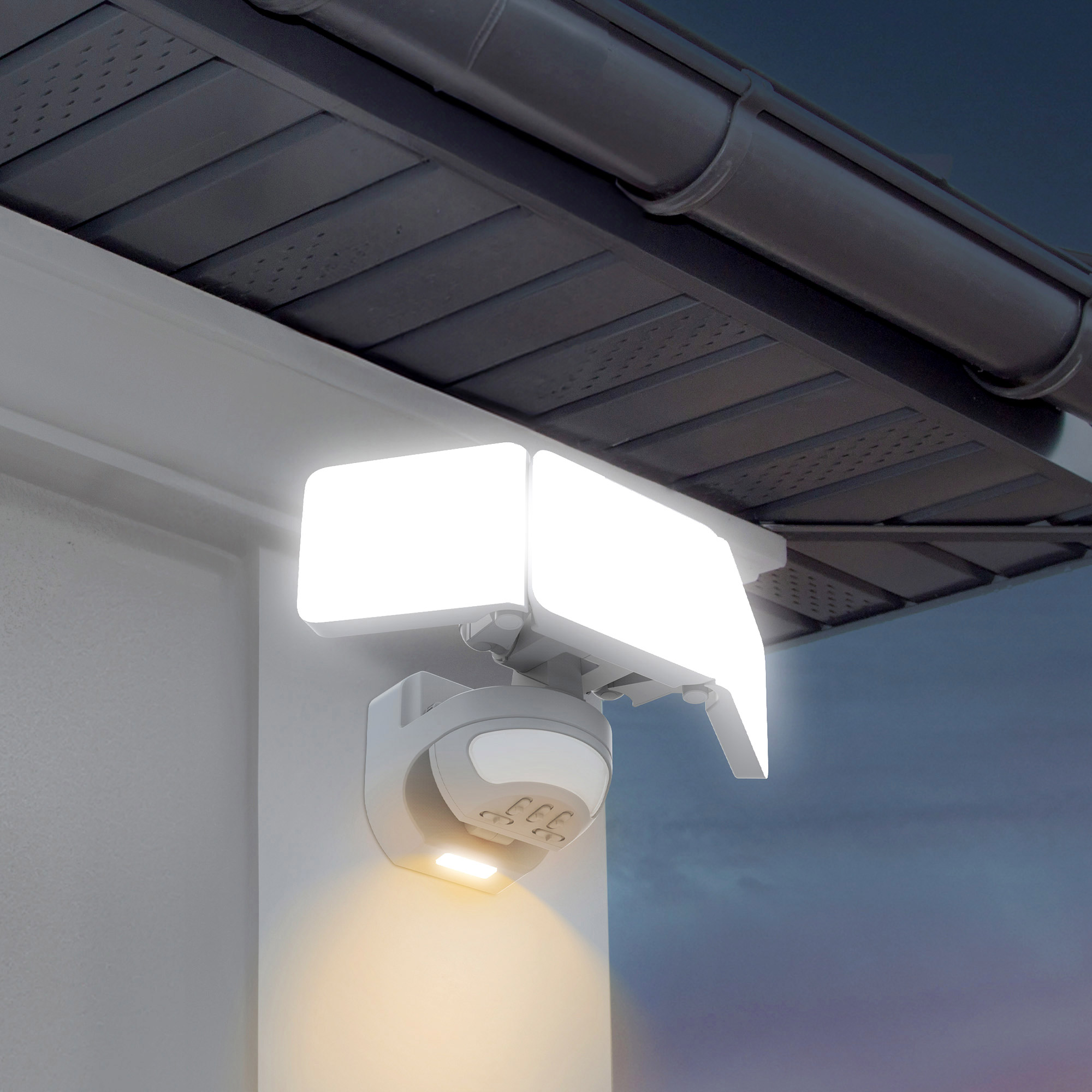 Enlarge Product Preview 8 Successfully Enriched by automation Job.