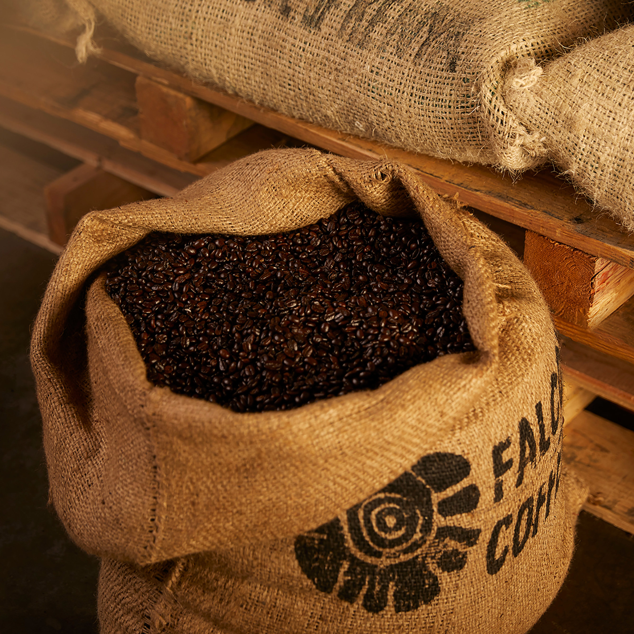 Enlarge Product Preview 6