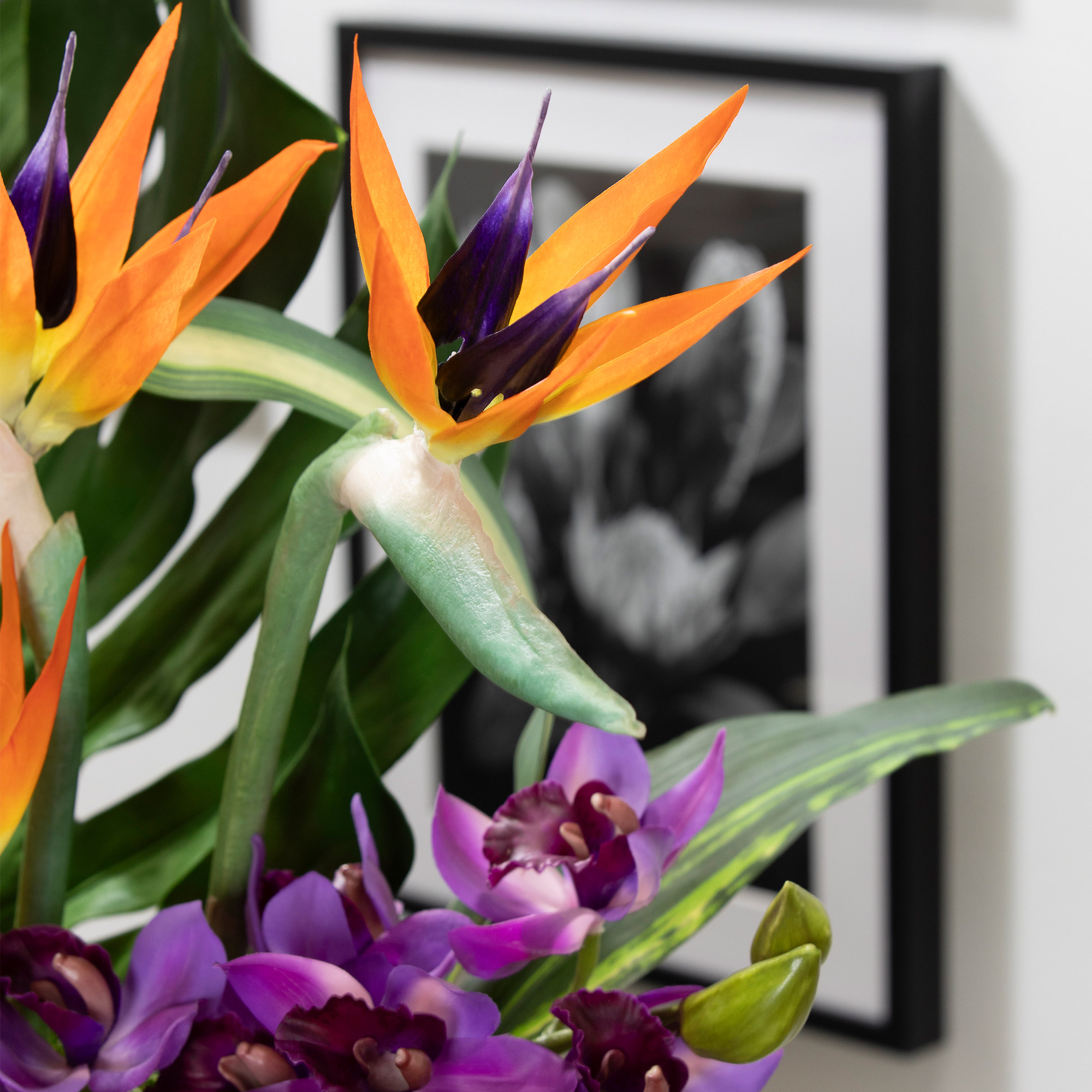 Enlarge Product Preview 4