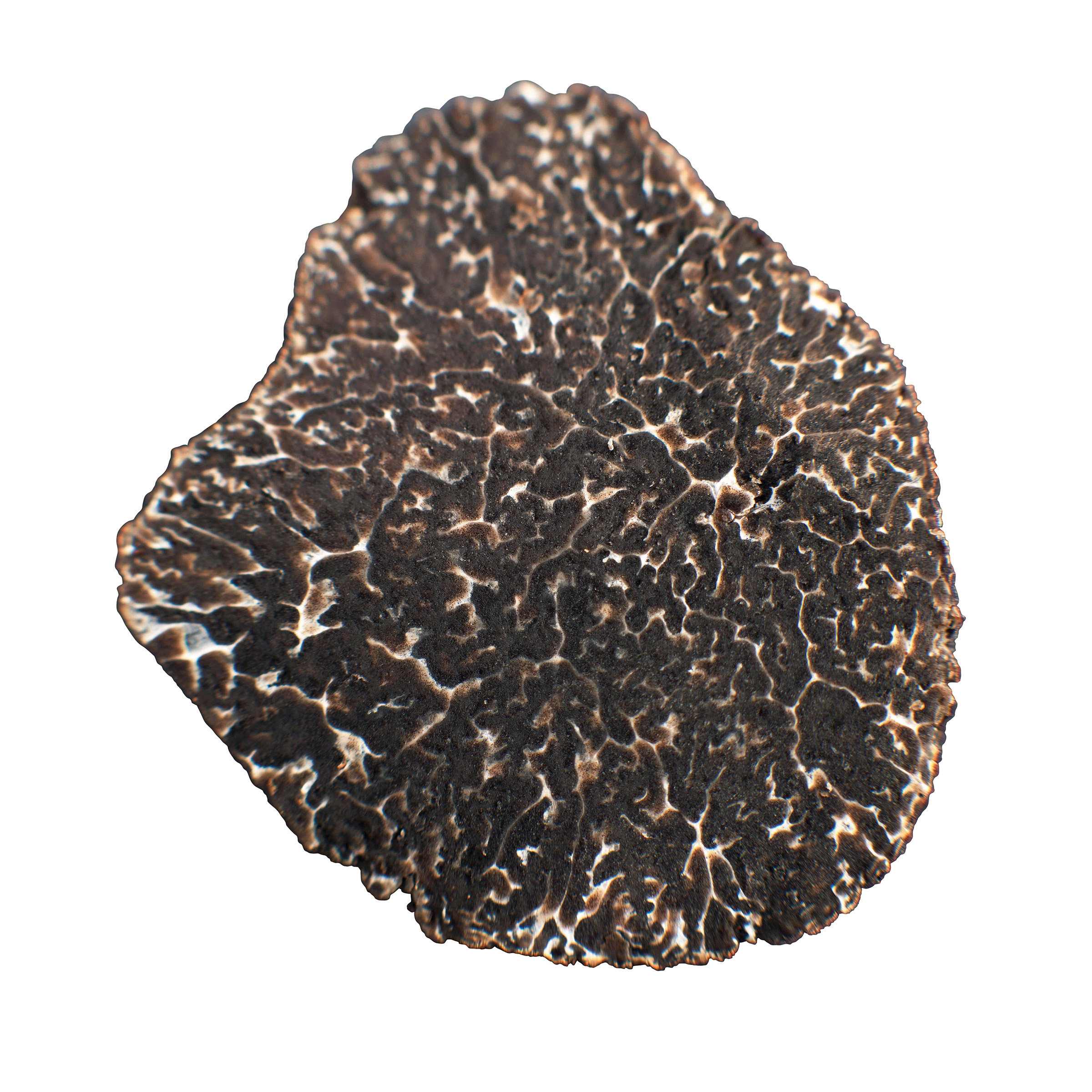 Enlarge Product Preview 5