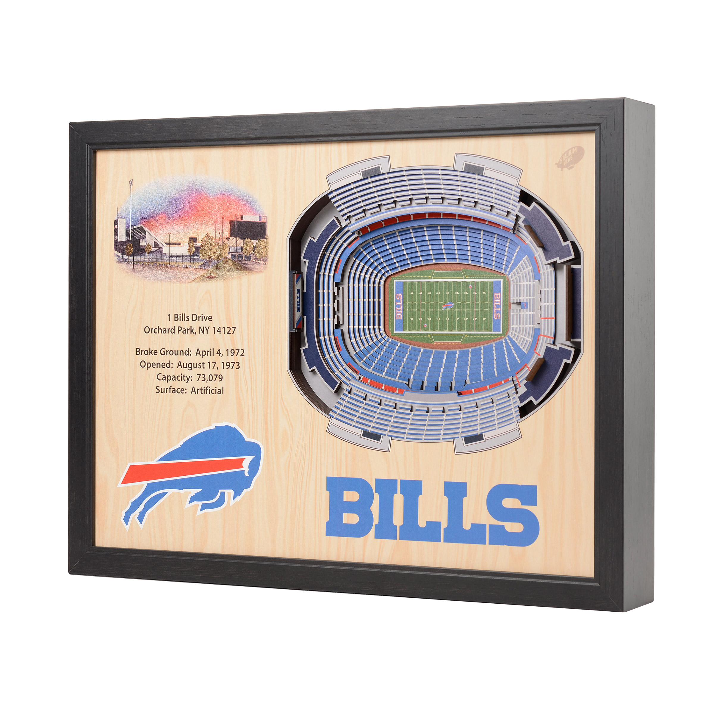NFL 25-layer Stadium View Wall Art