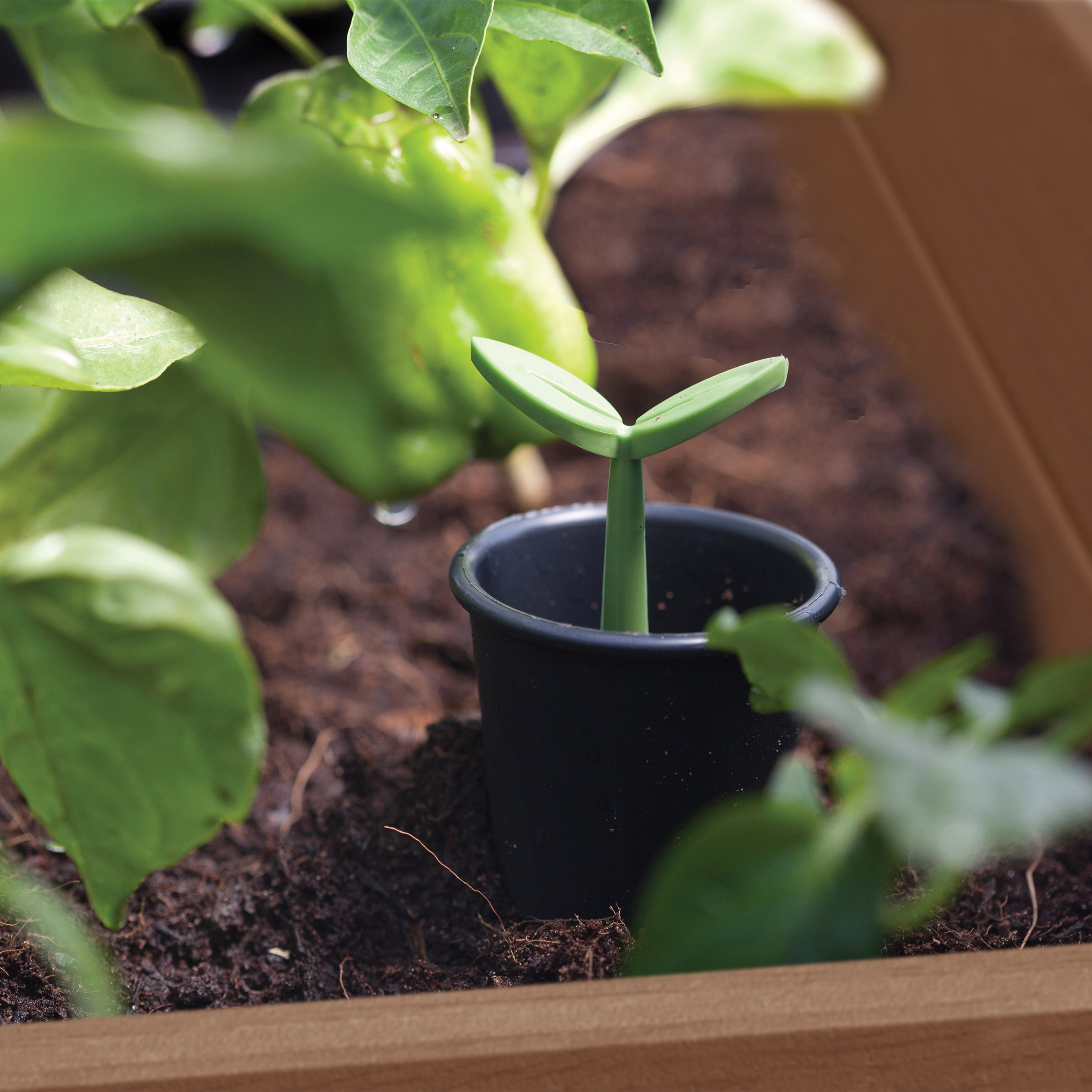 Enlarge Product Preview 7 Successfully Enriched by automation Job.