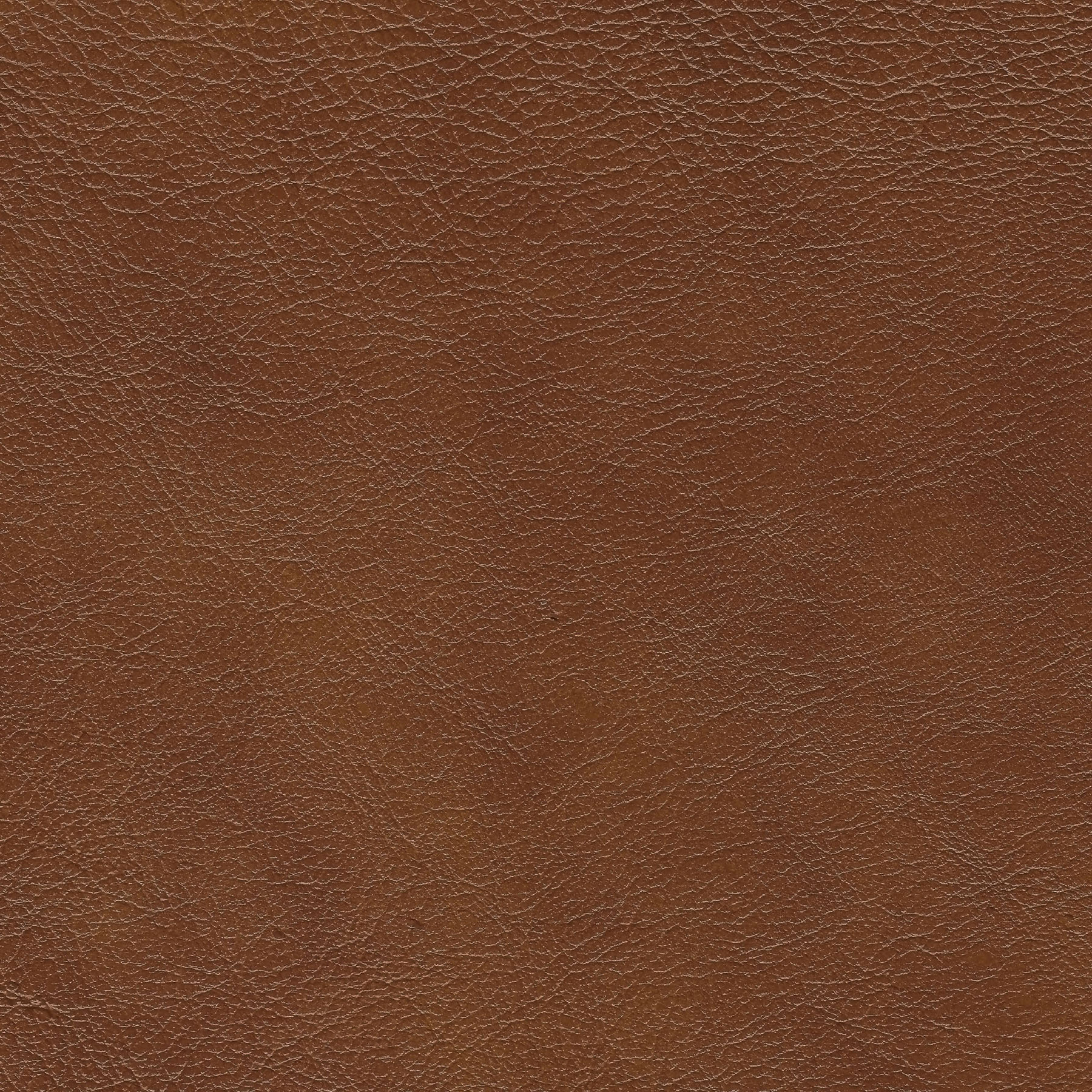 Enlarge Product Preview 7