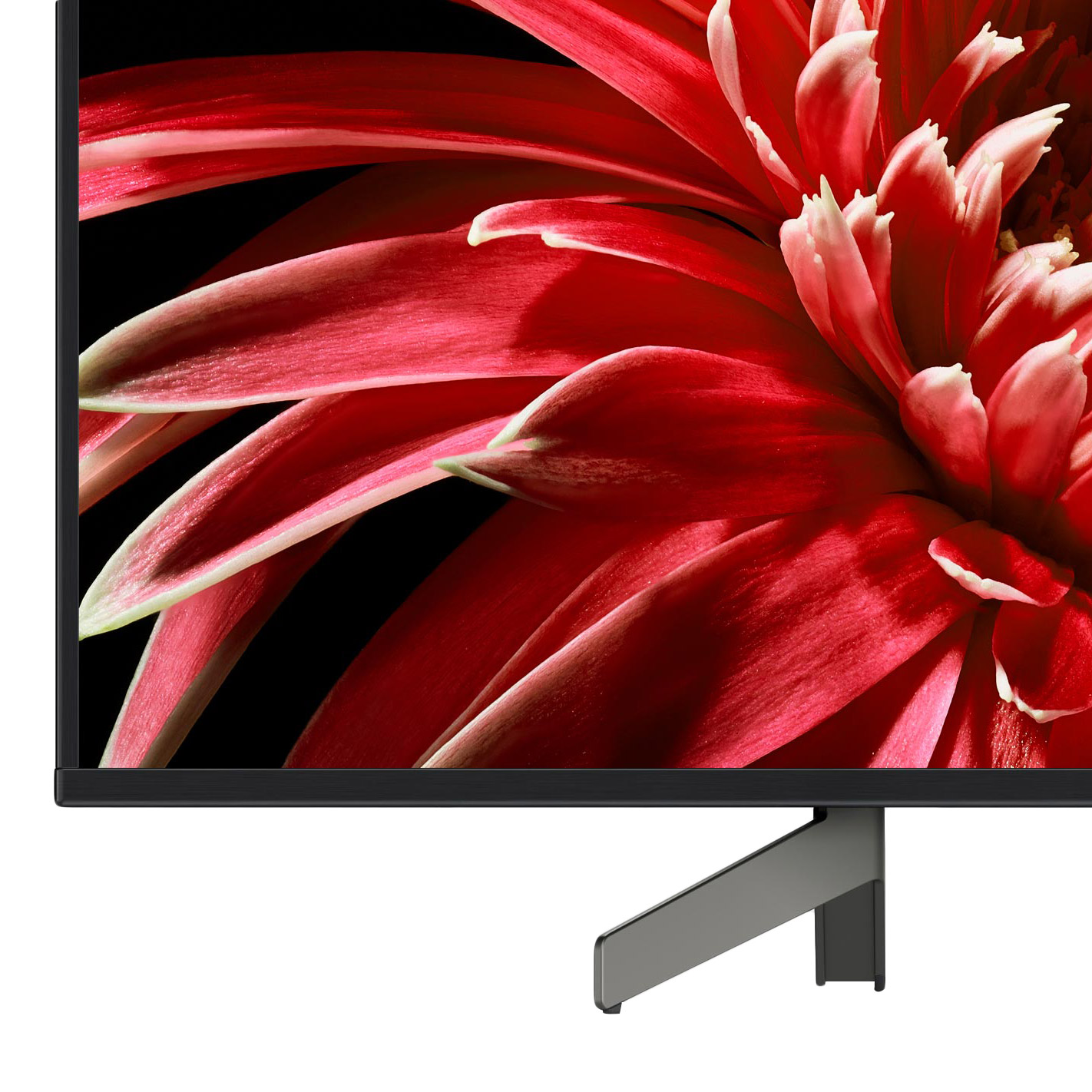 55インチ 4k Sony Bravia Amazon.com: Sony 55 Inch OLED 4K Ultra HD TV BRAVIA 8 Smart