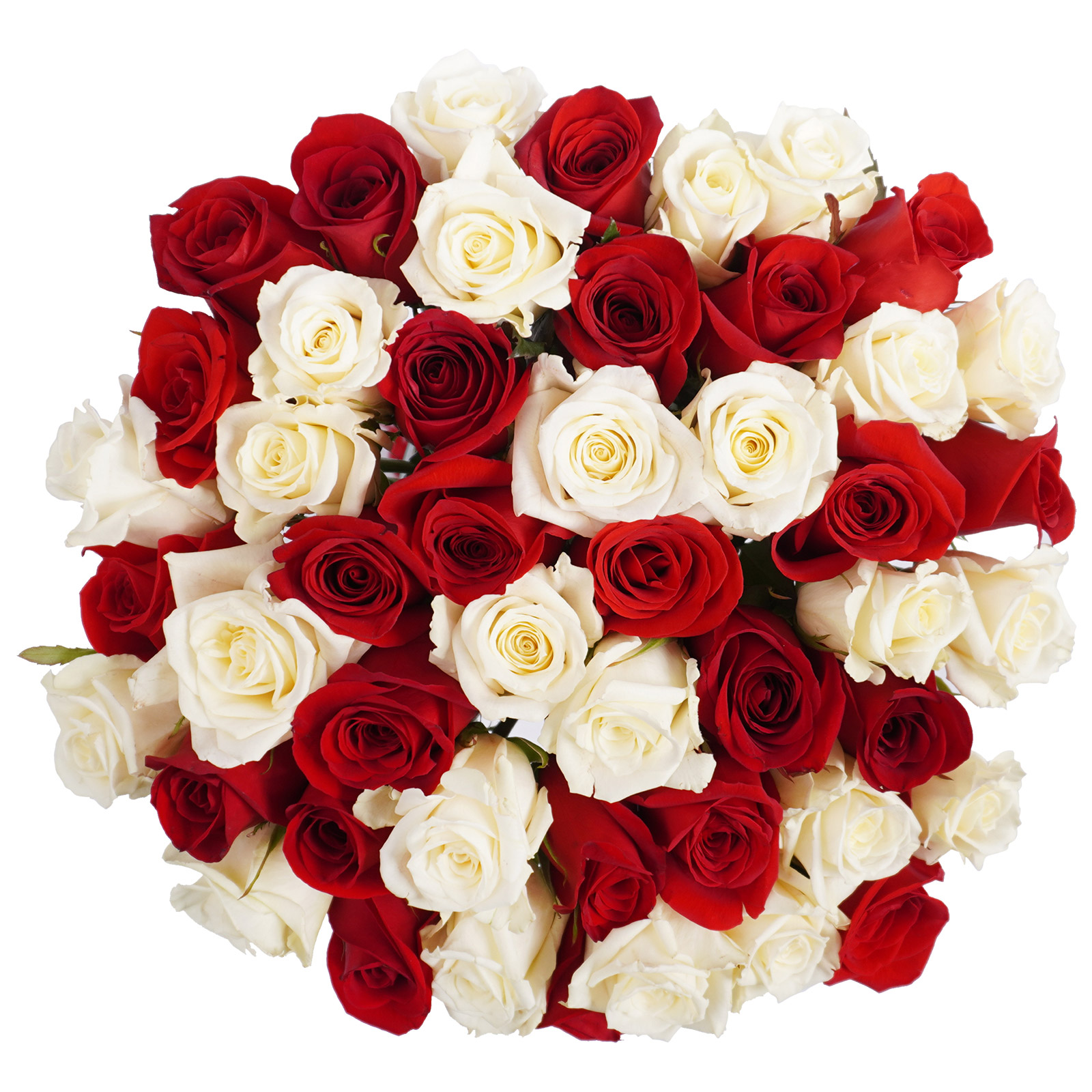 Roses, 48 Stems - Red & White