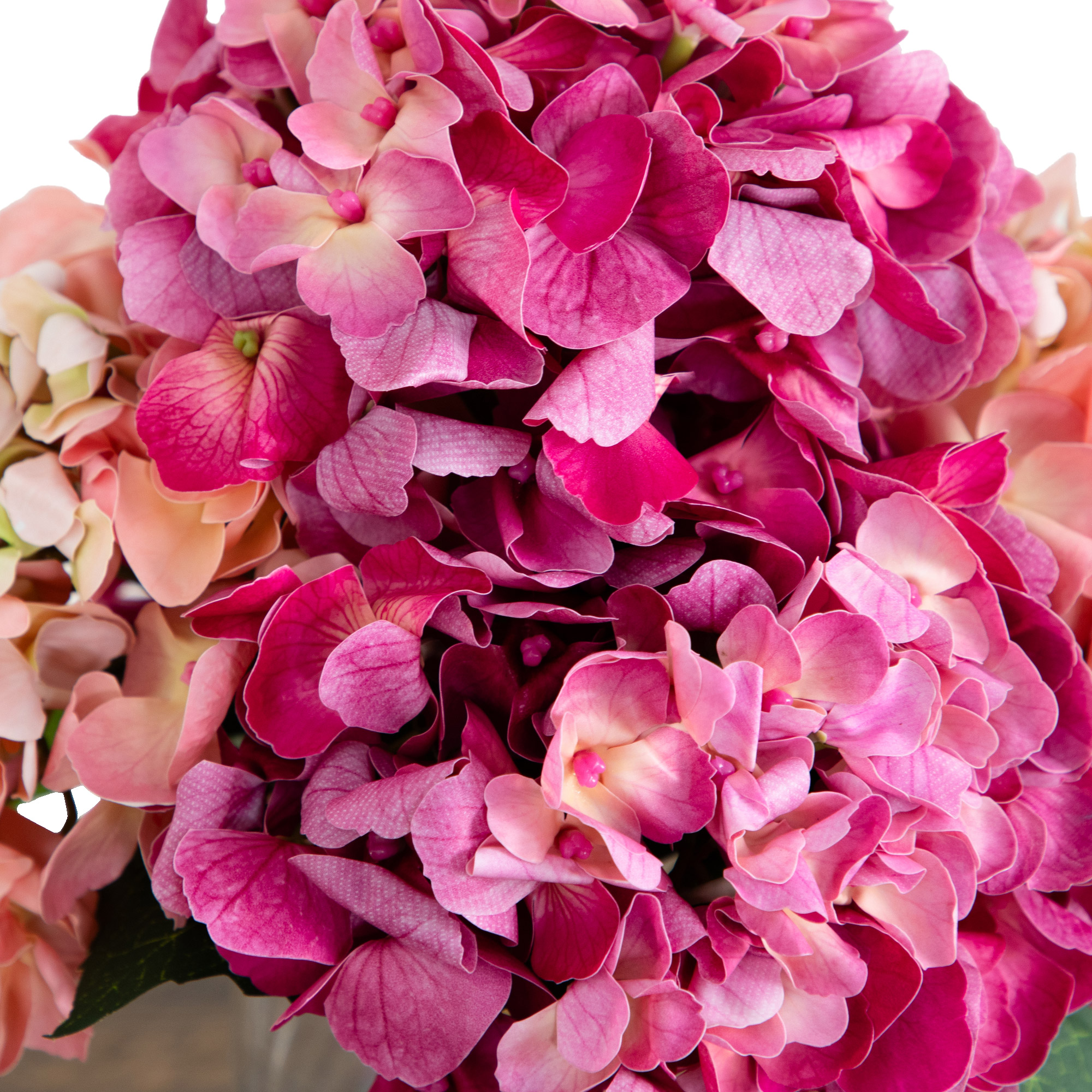 Enlarge Product Preview 6 Successfully Enriched by automation Job.