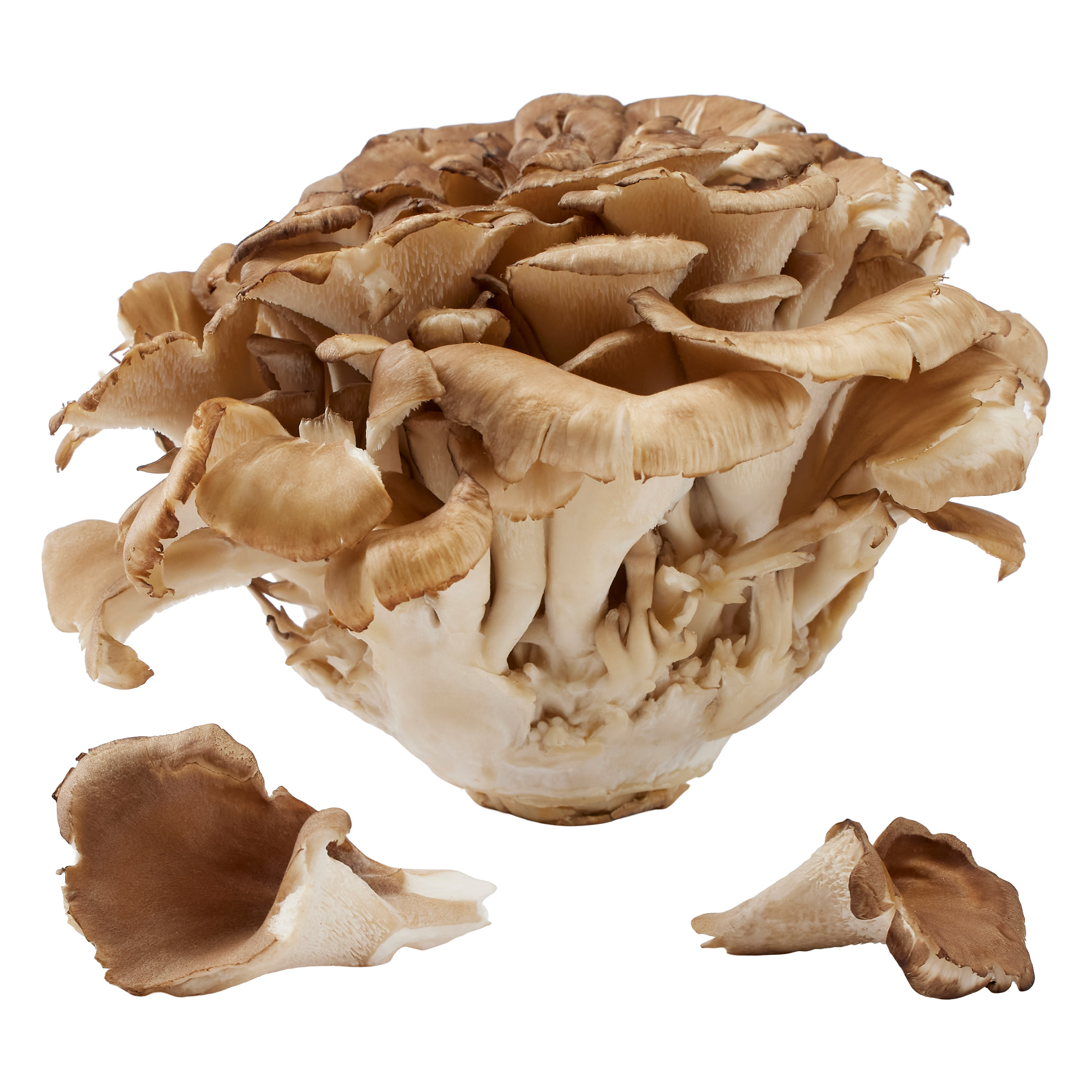 Enlarge Product Preview 4 Successfully Enriched by automation Job.