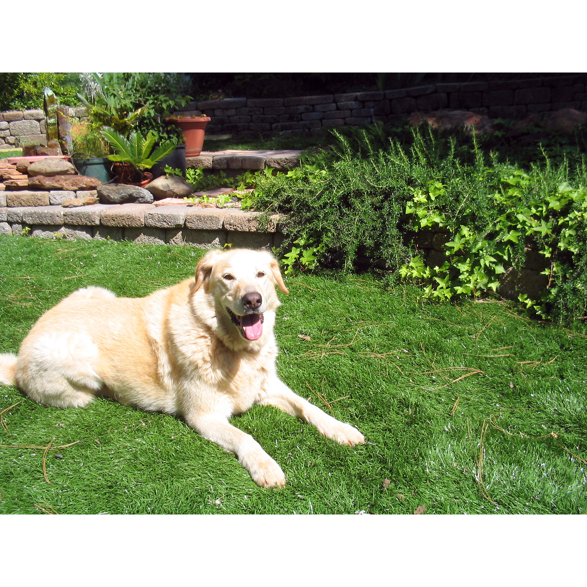 Enlarge Product Preview 11