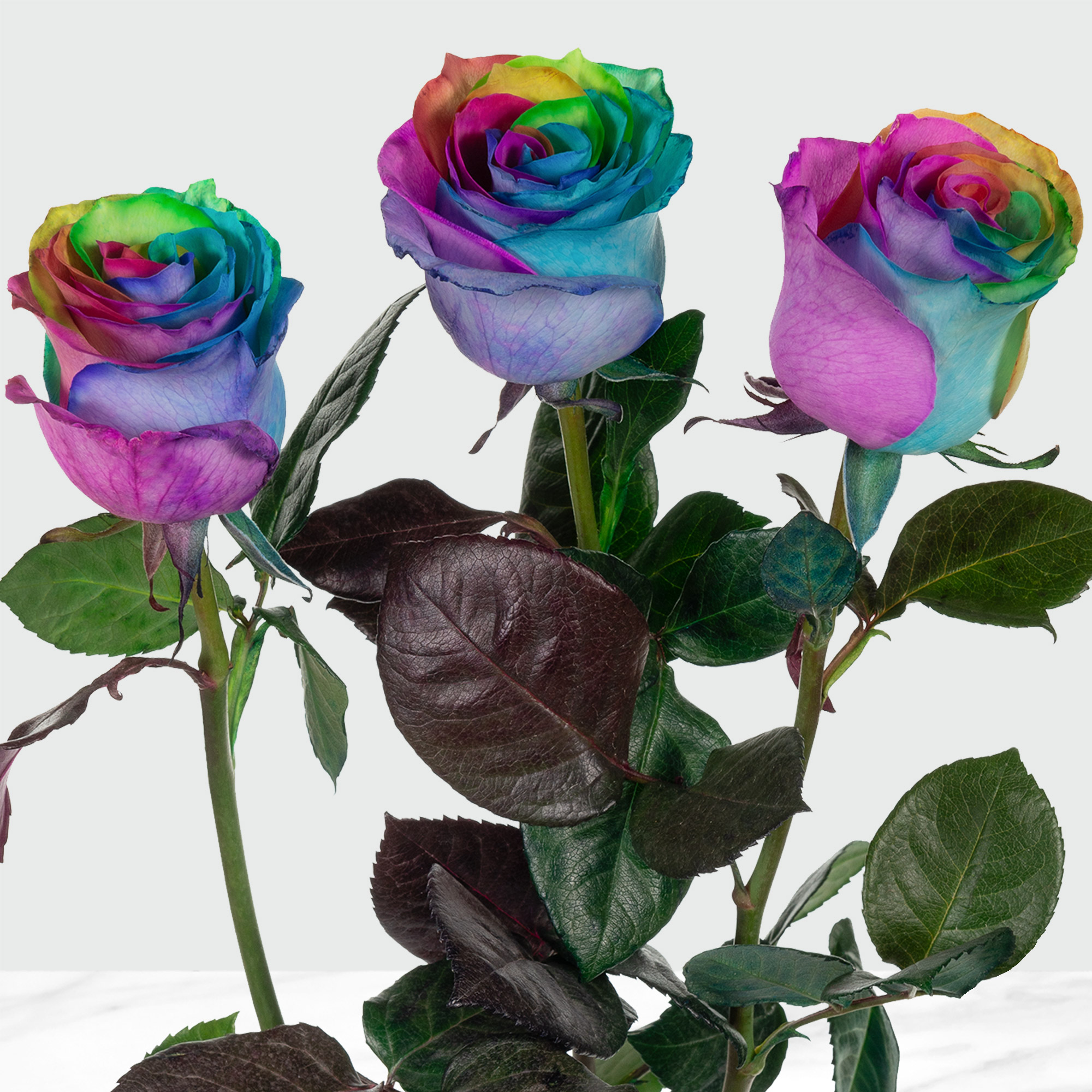 Enlarge Product Preview 4