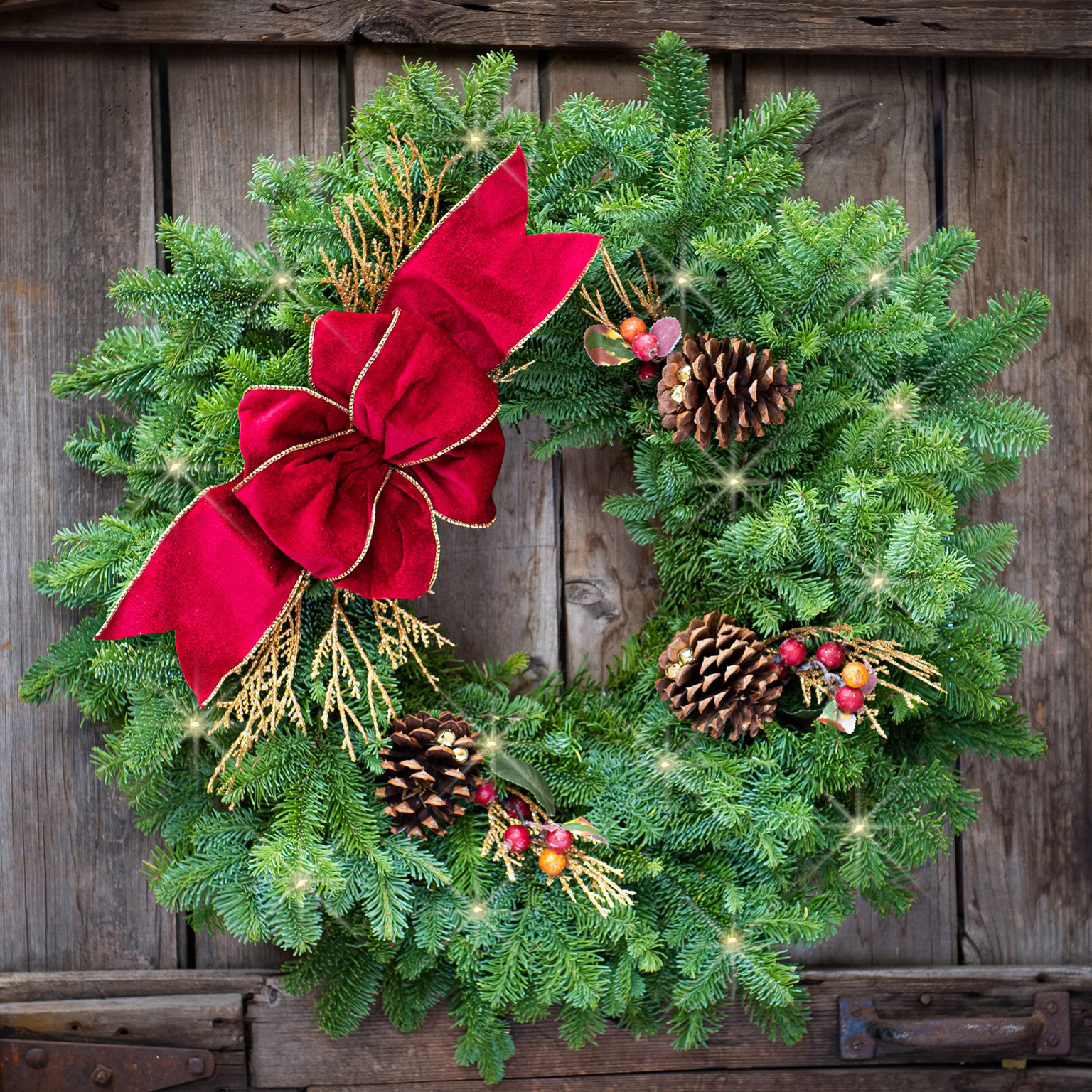 Fresh Cranberry Splash Lighted LED Wreath