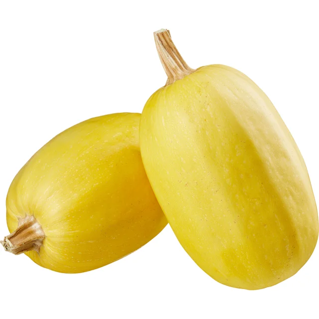 ORGANIC SPAGHETTI SQUASH 6 POUNDS