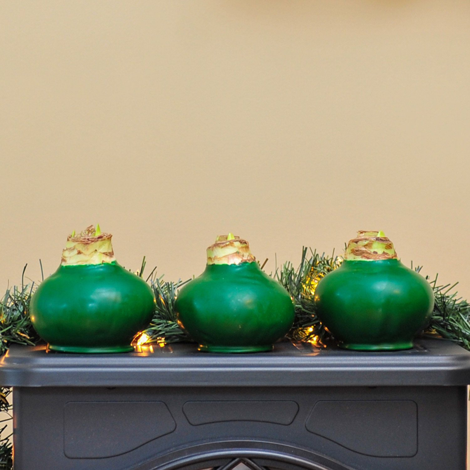 Enlarge Product Preview 8