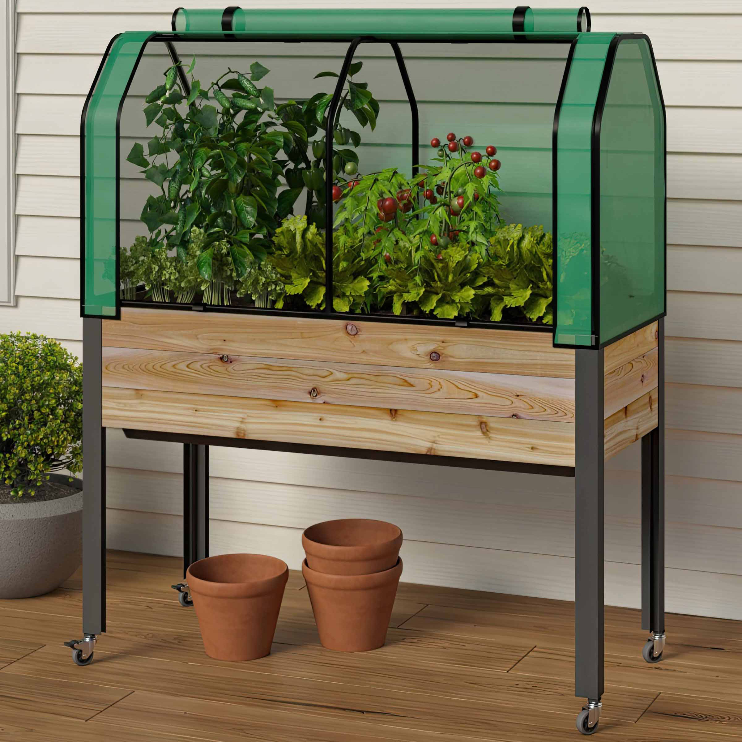 Self-Watering Elevated Cedar Planter With Greenhouse and Bug cover 