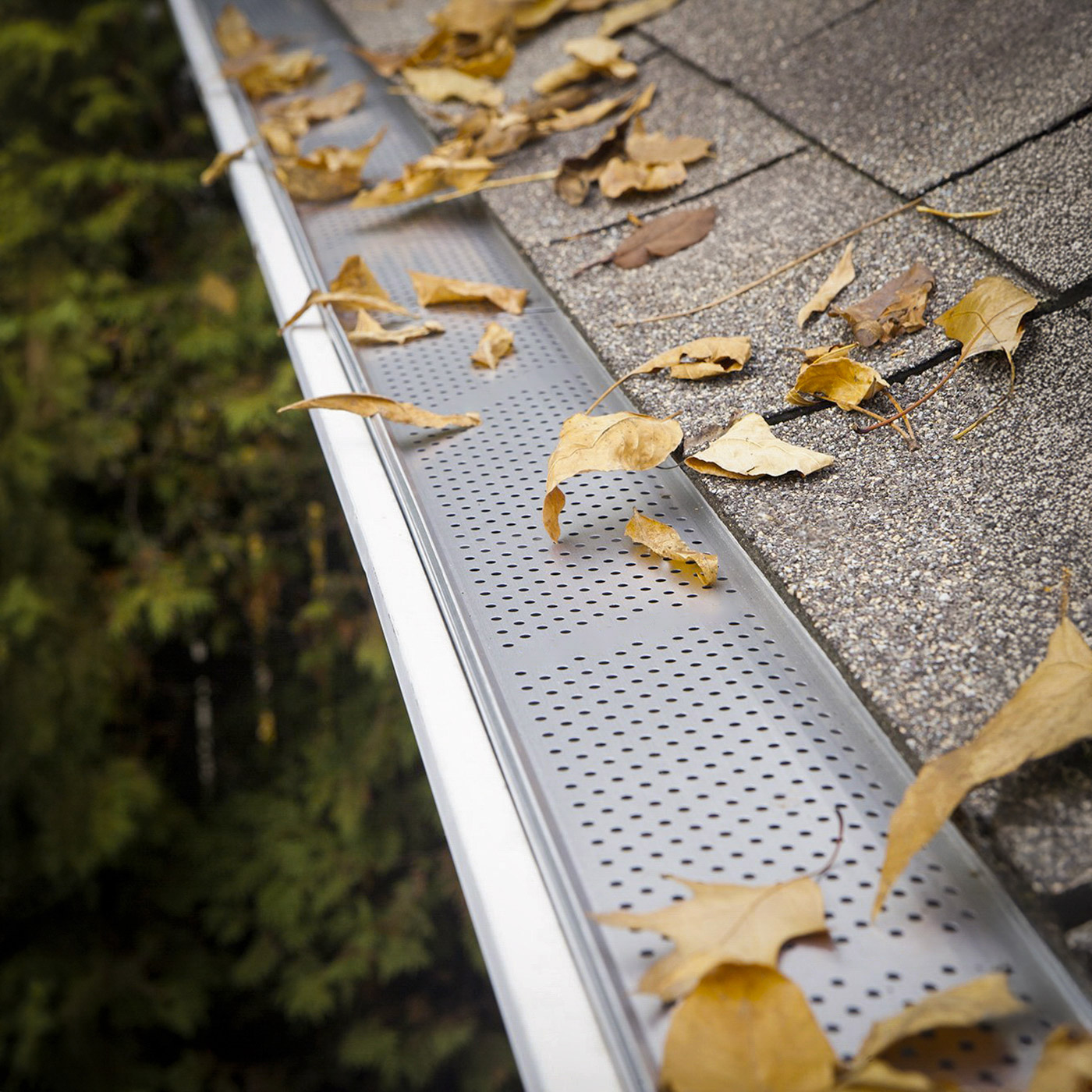 Alu-Rex Clip N Guard Gutter System