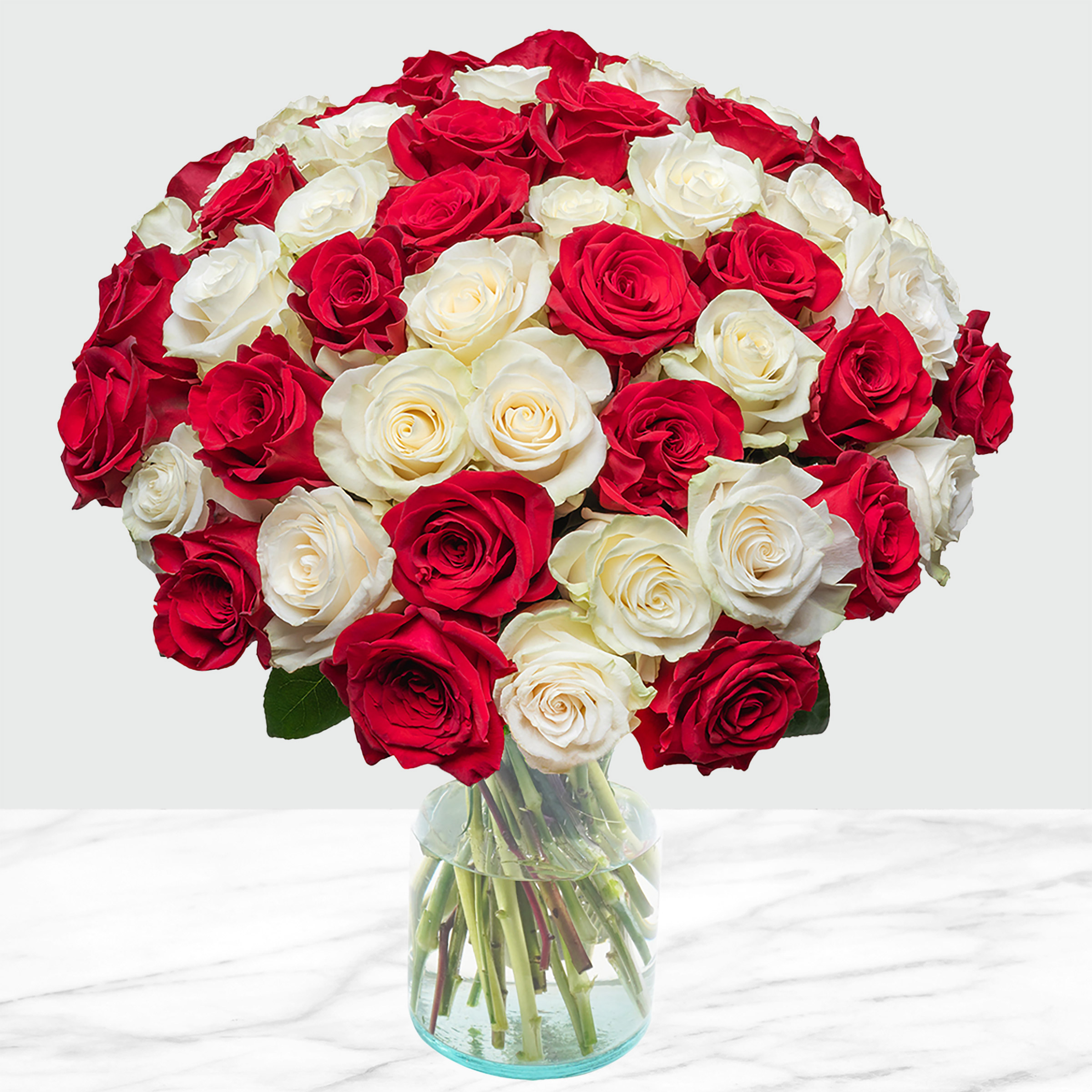 Red and White Roses Fresh Cut Floral  50-stems